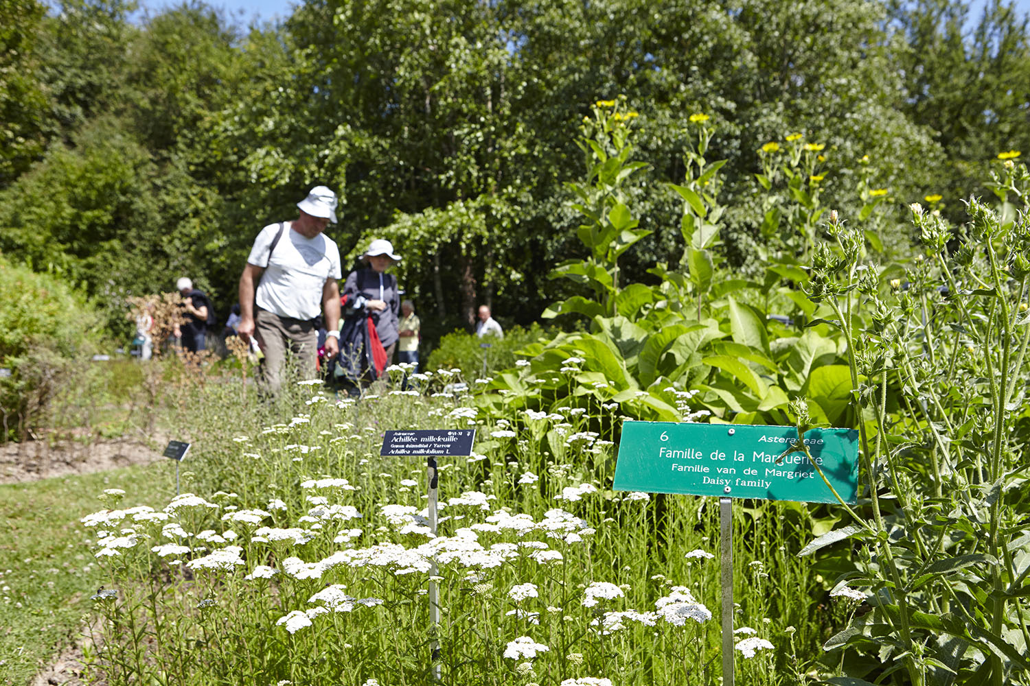 photo jardin Conservatoire Botanique 