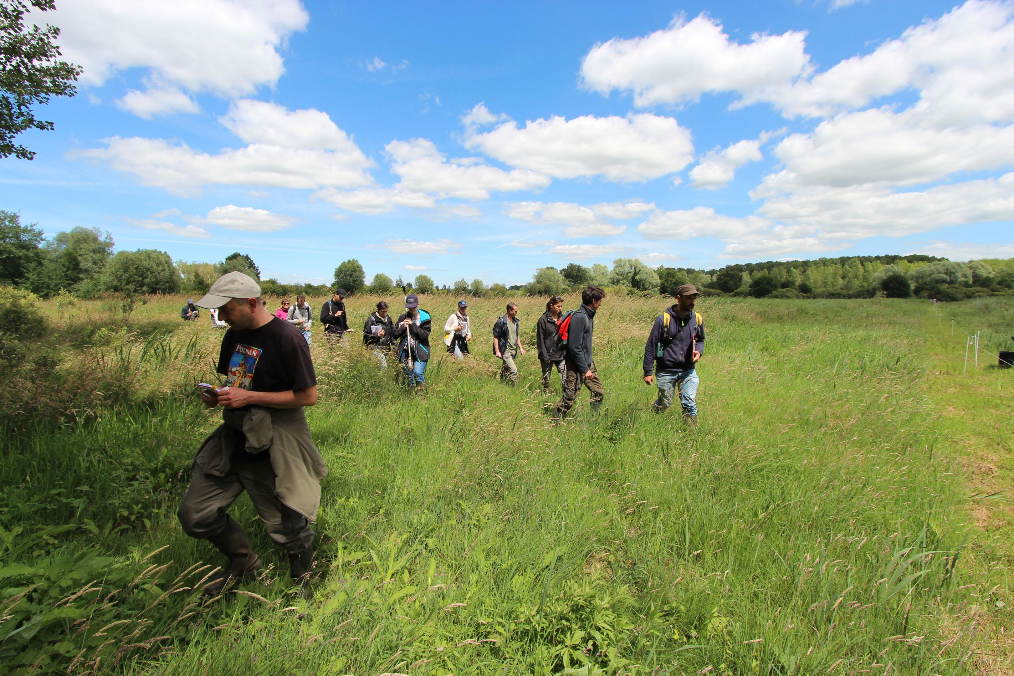 zones humides et flore