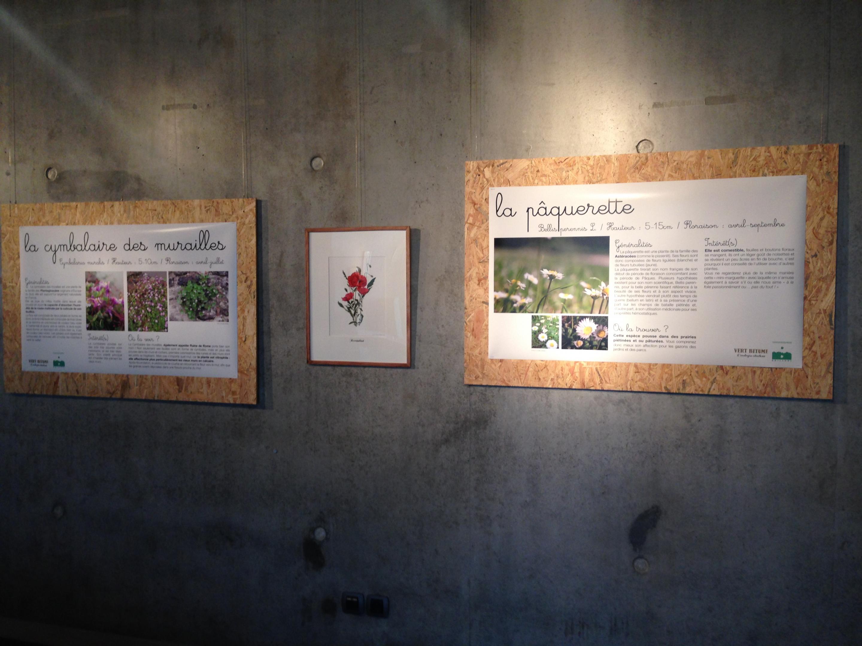 Exposition Vert Bitume