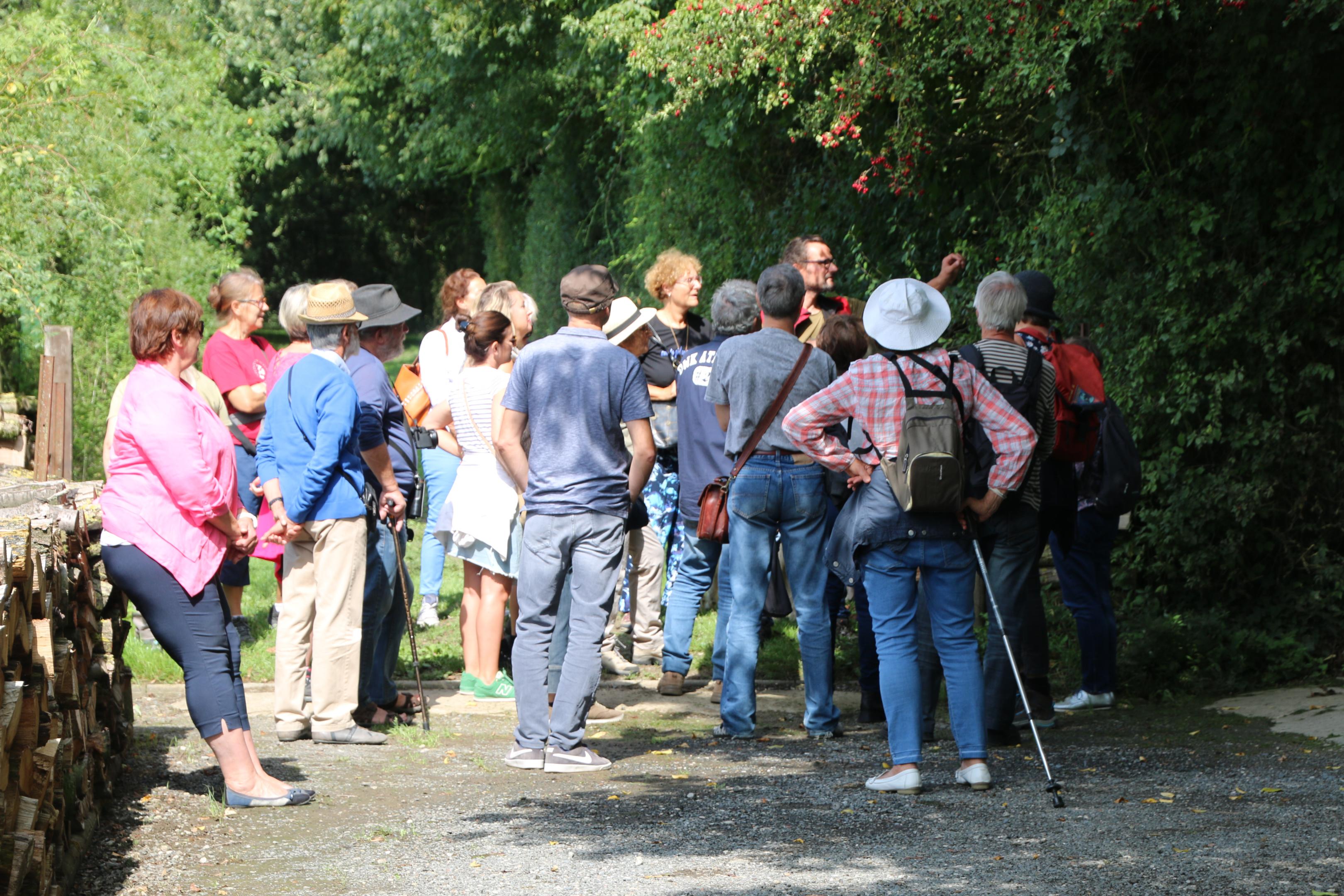 sortie nature fruits