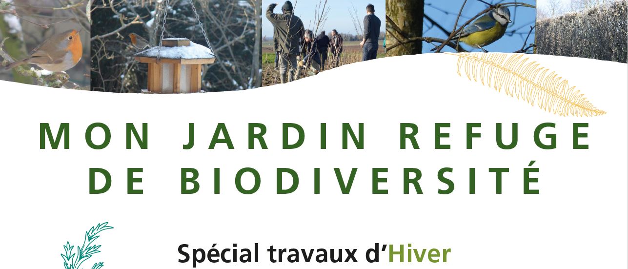 Mon jardin refuge de biodiversité