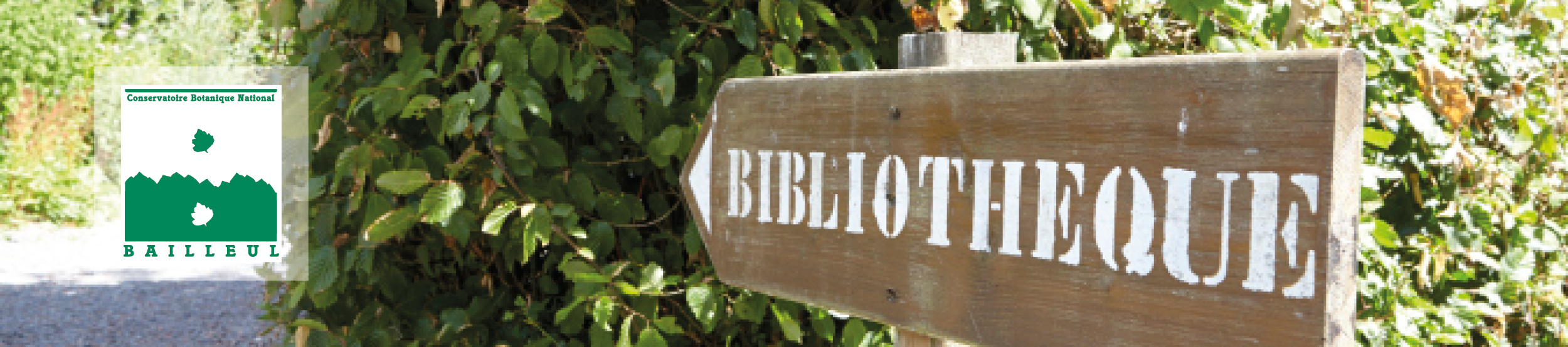 Bibliothèque phytosociologie