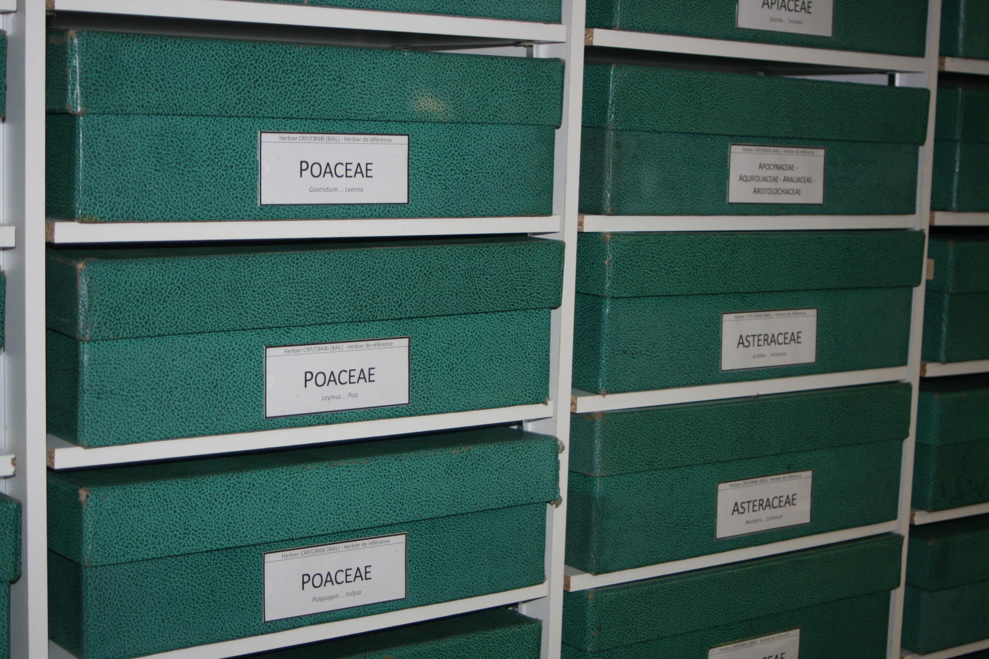 Herbier de référence CBNBL