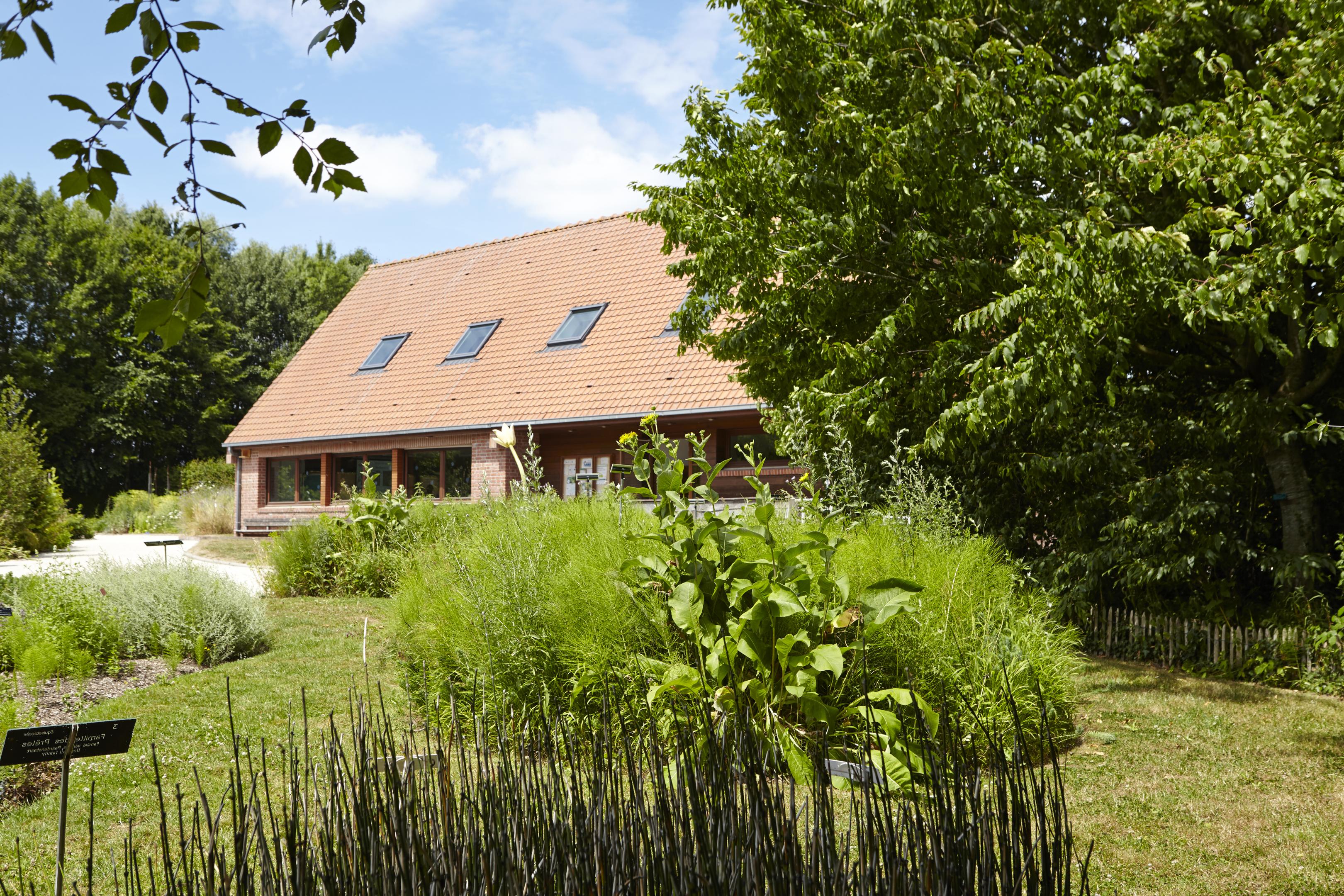 Jardin des plantes sauvages