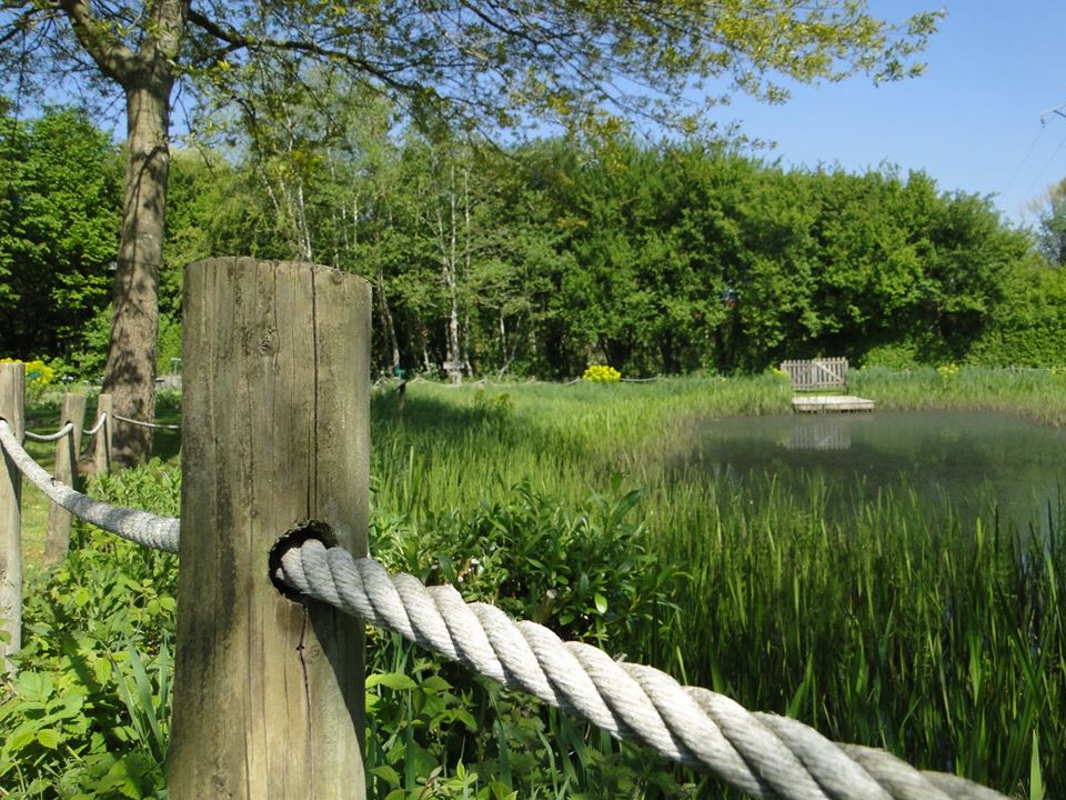 Mare du Jardin des plantes sauvages