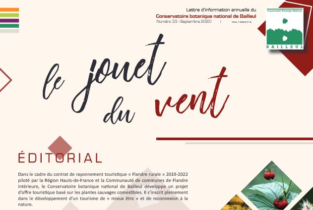 Jouet du vent n°33 CBNBL