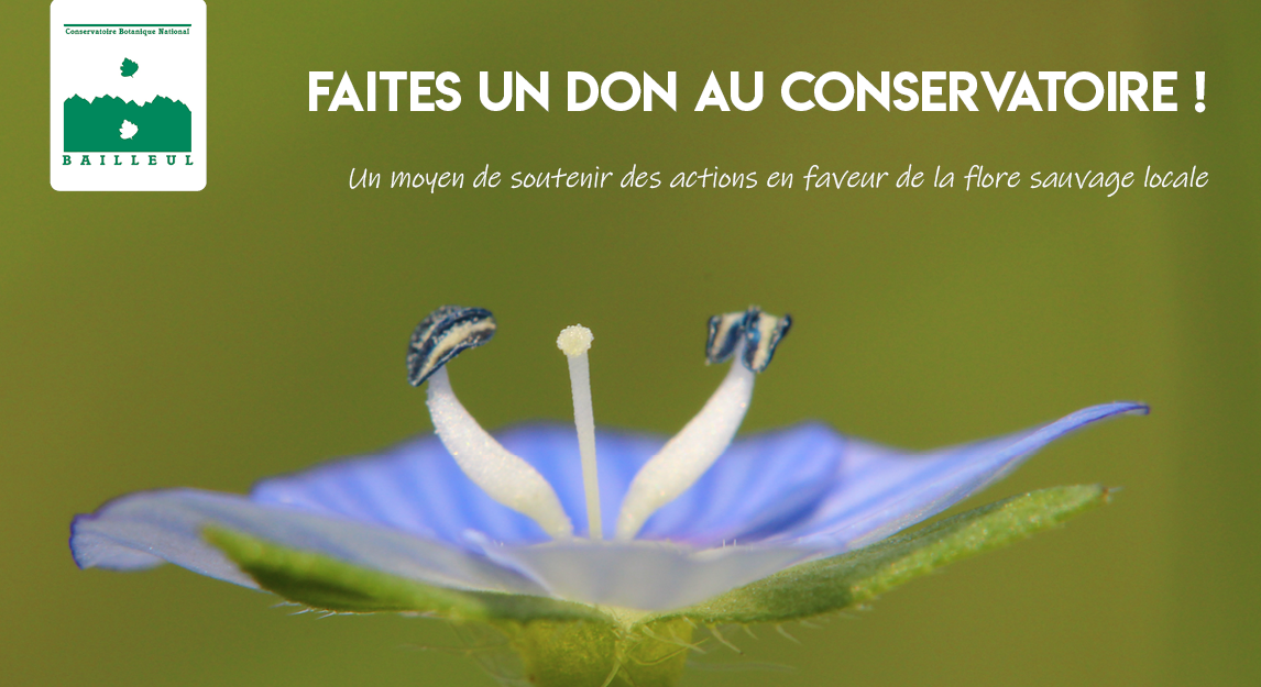 faites un don au CBNBL