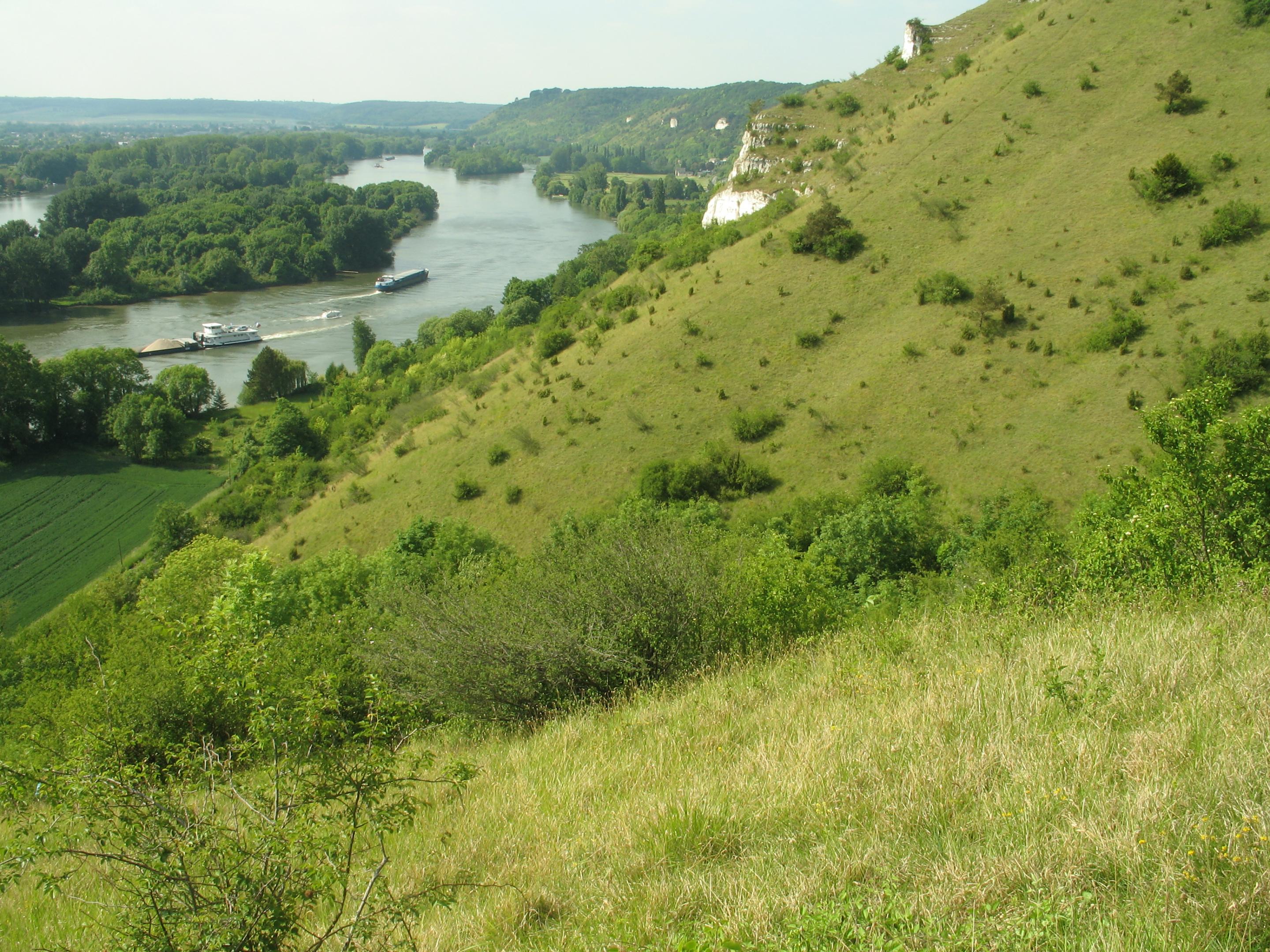 flore endémique seine normande CBNBL 