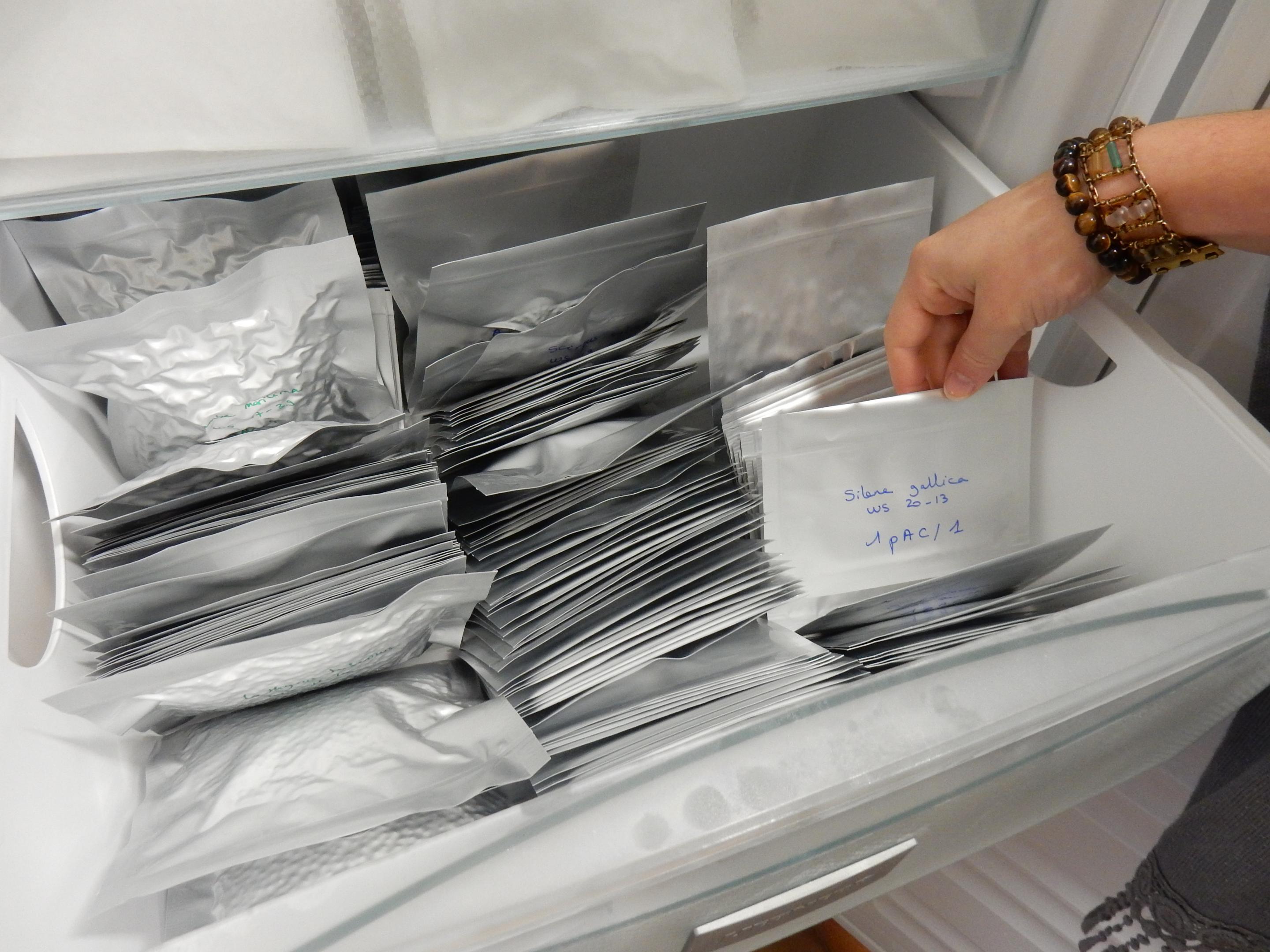 banque de semences CBNBL 