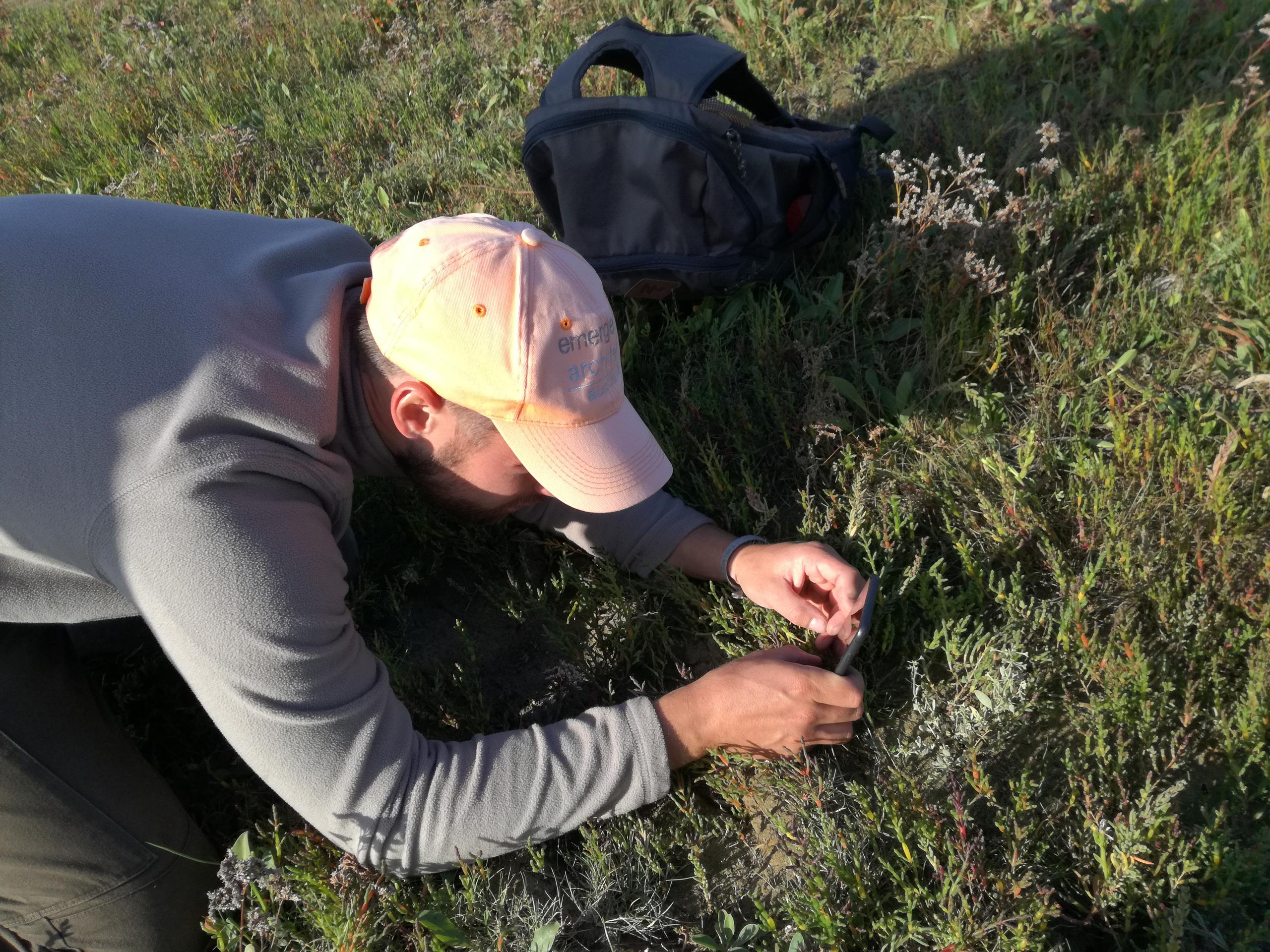 botaniste - G. Villejoubert 