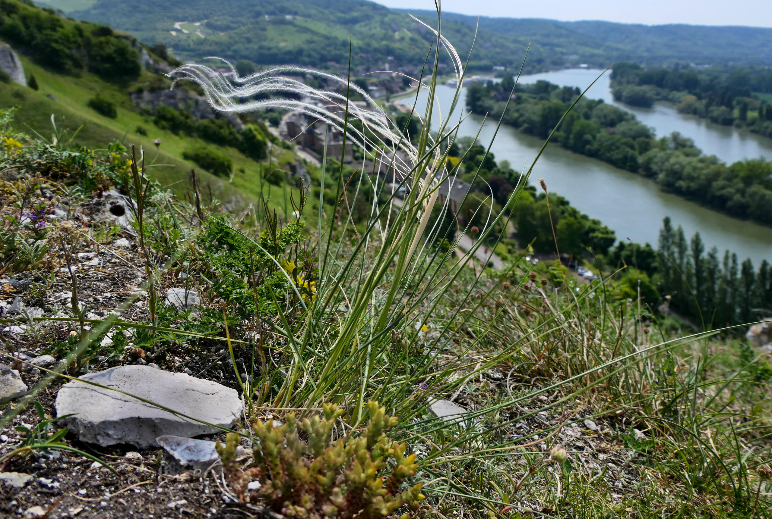 les Andelys - C. Blondel