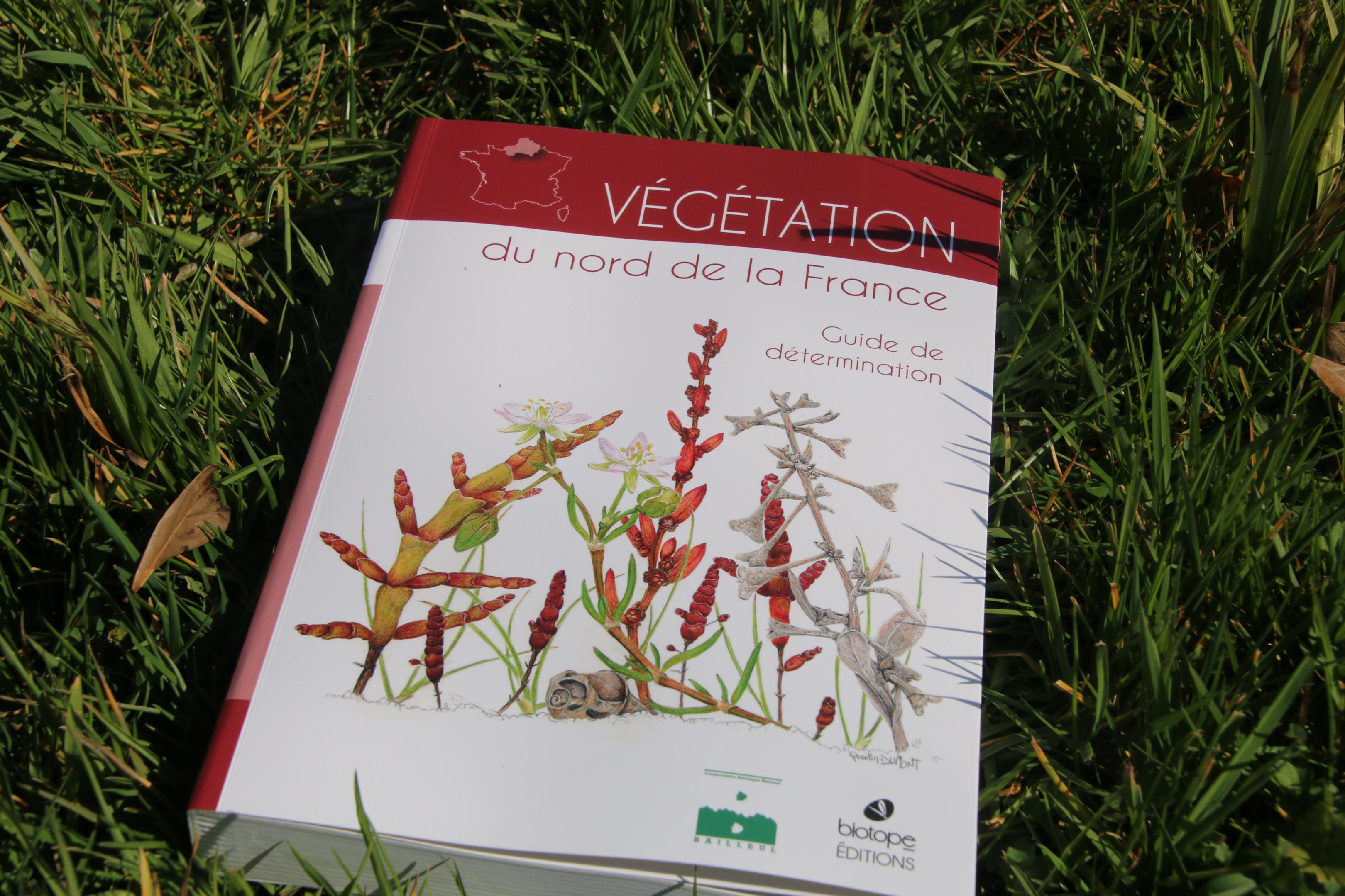 Végétation du nord de la France