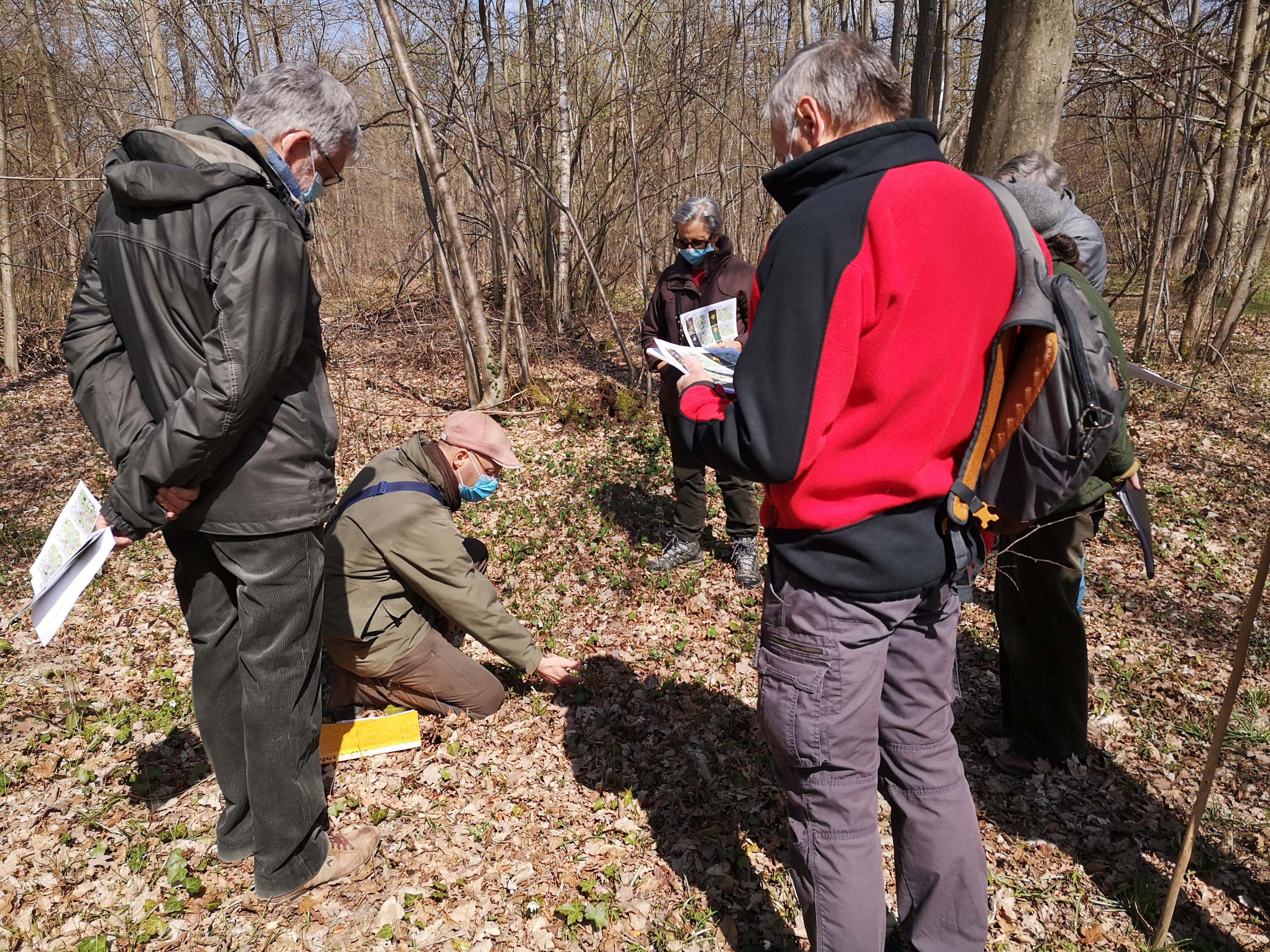 Photo : Jean-Luc Hercent (PNR OPDF)