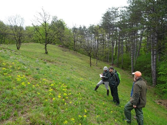 sortie Vallée de l'automne CBNBL