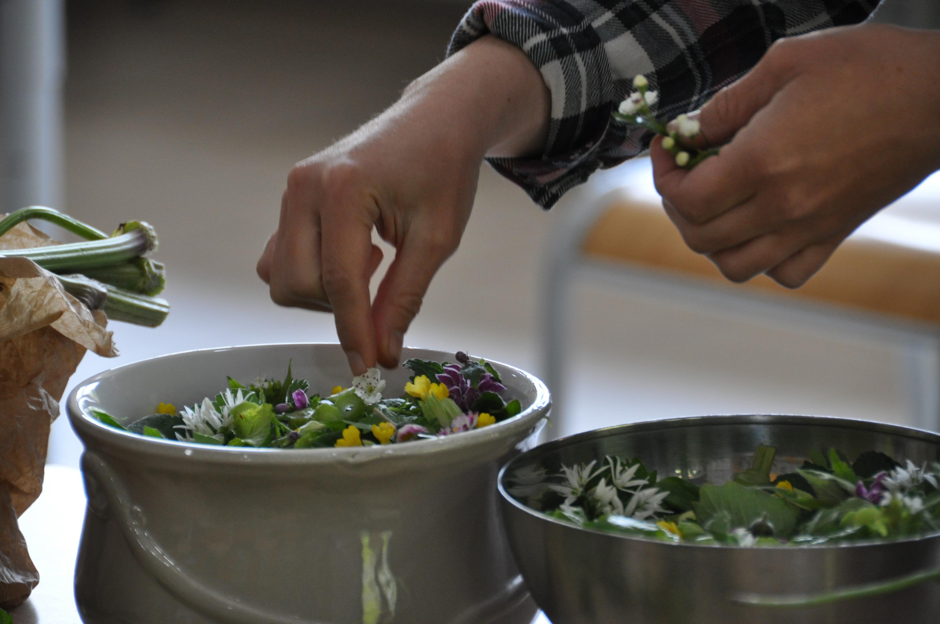Chemin de la nature + CBNBL 