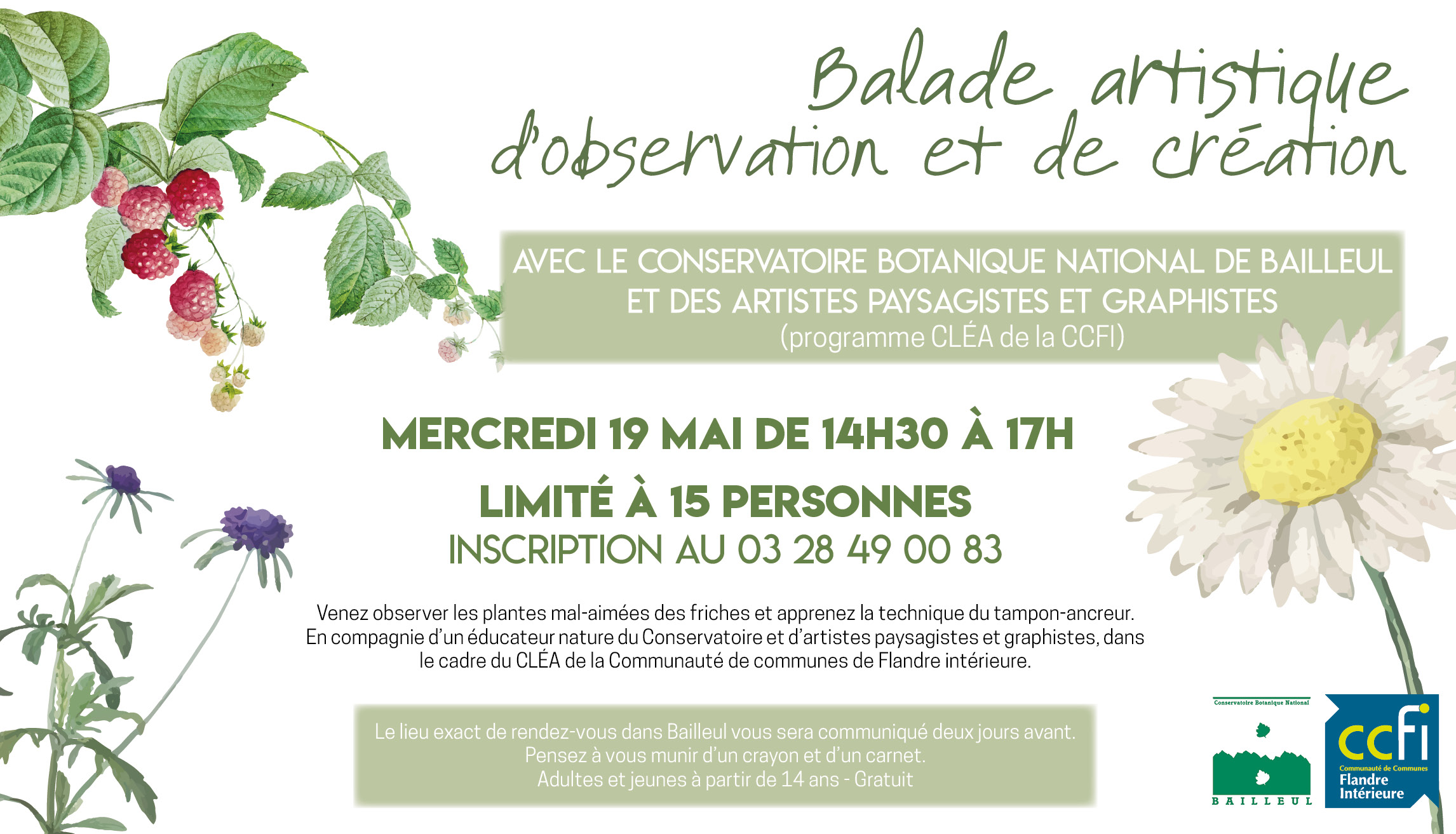 Balade artistique d'observation et de création