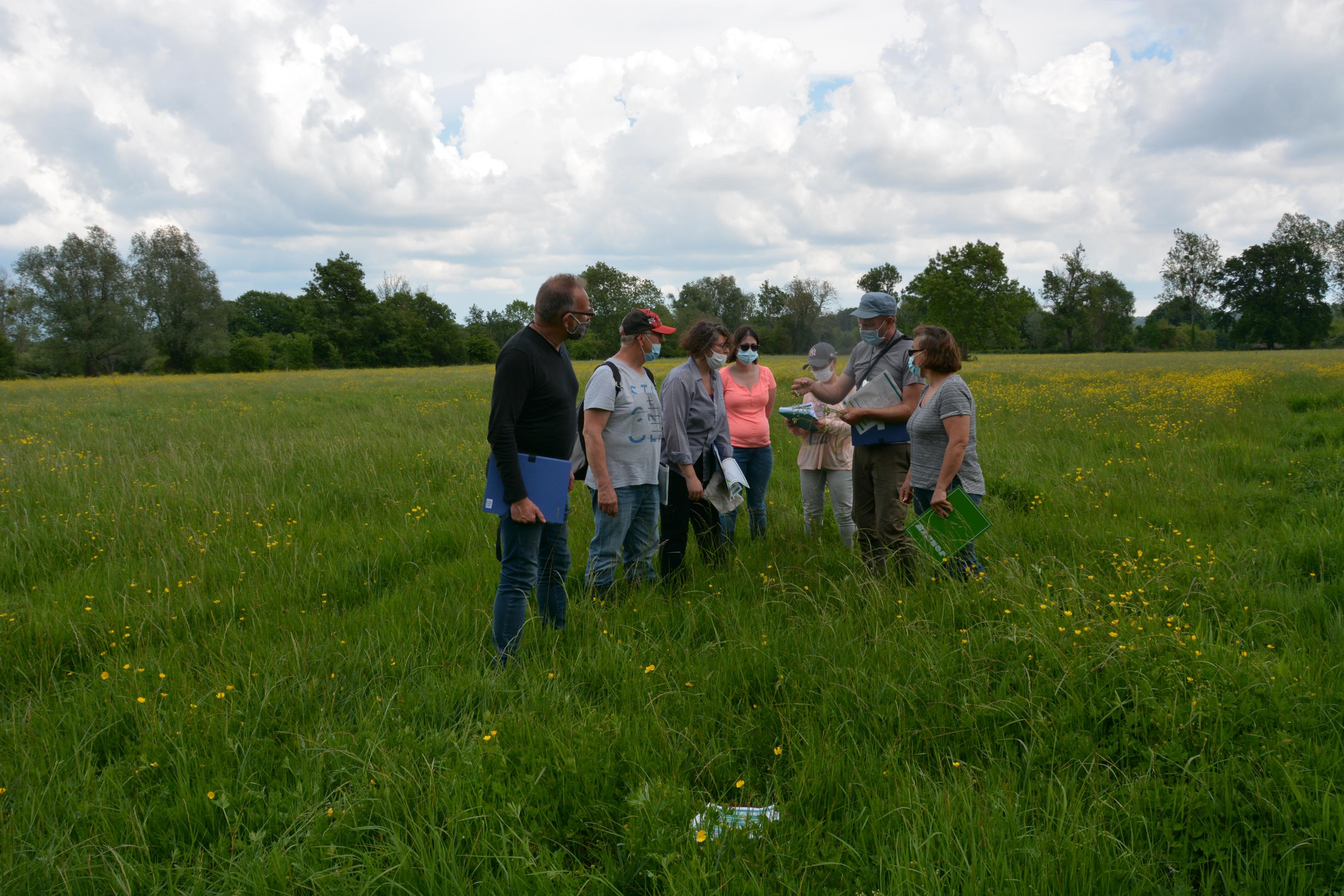 concours prairies CBNBL Rouen