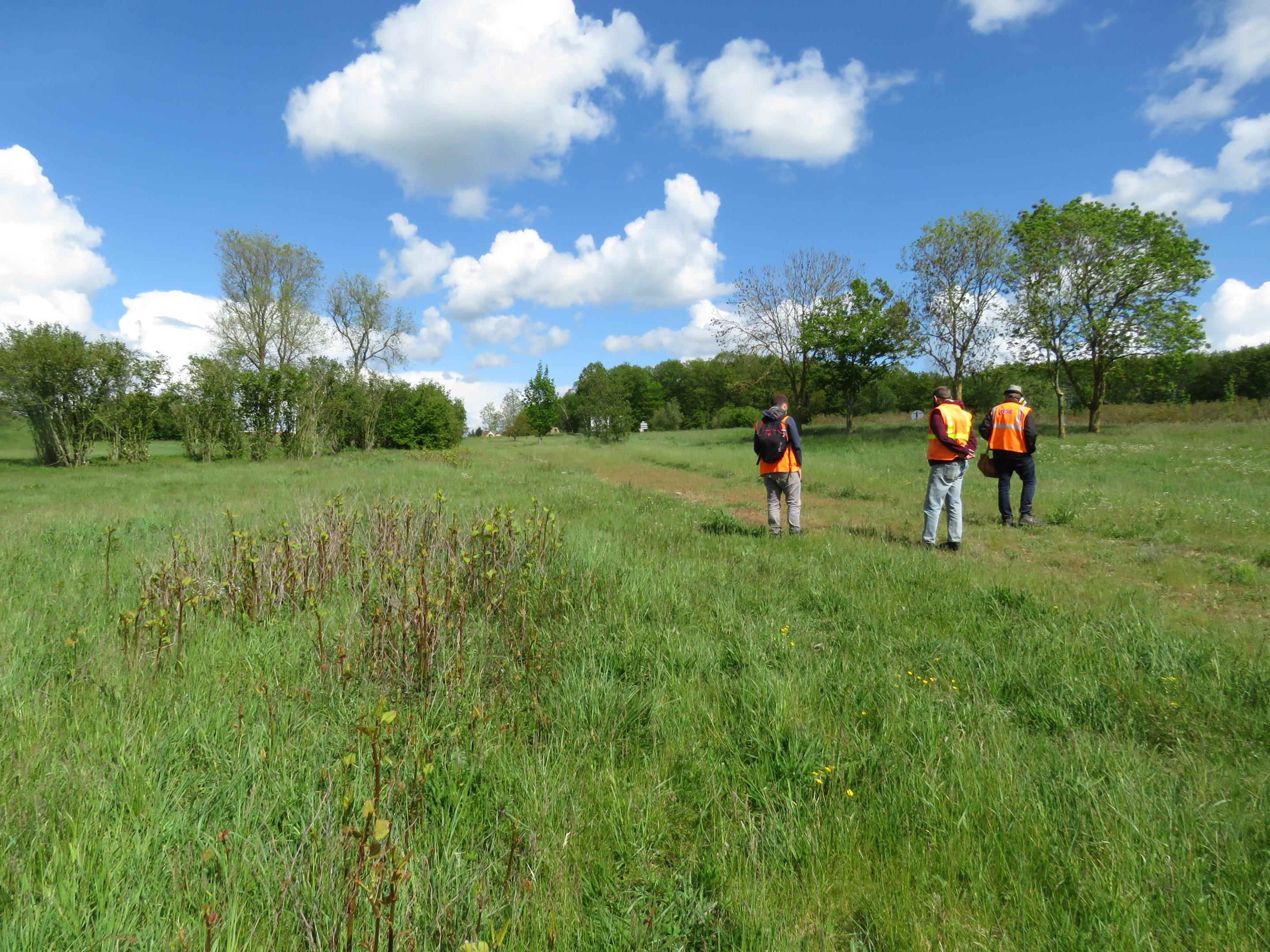 Enjeux floristiques du réseau de la DIRNO