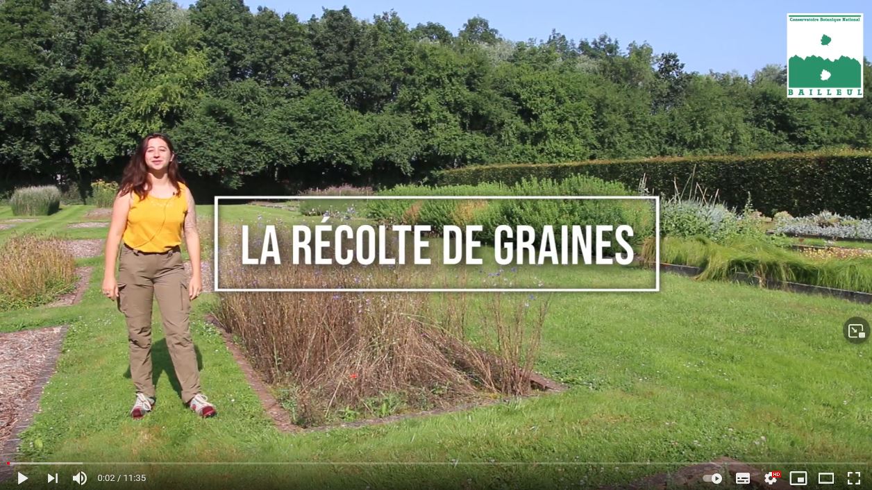 vidéo récolte graines CBNBL