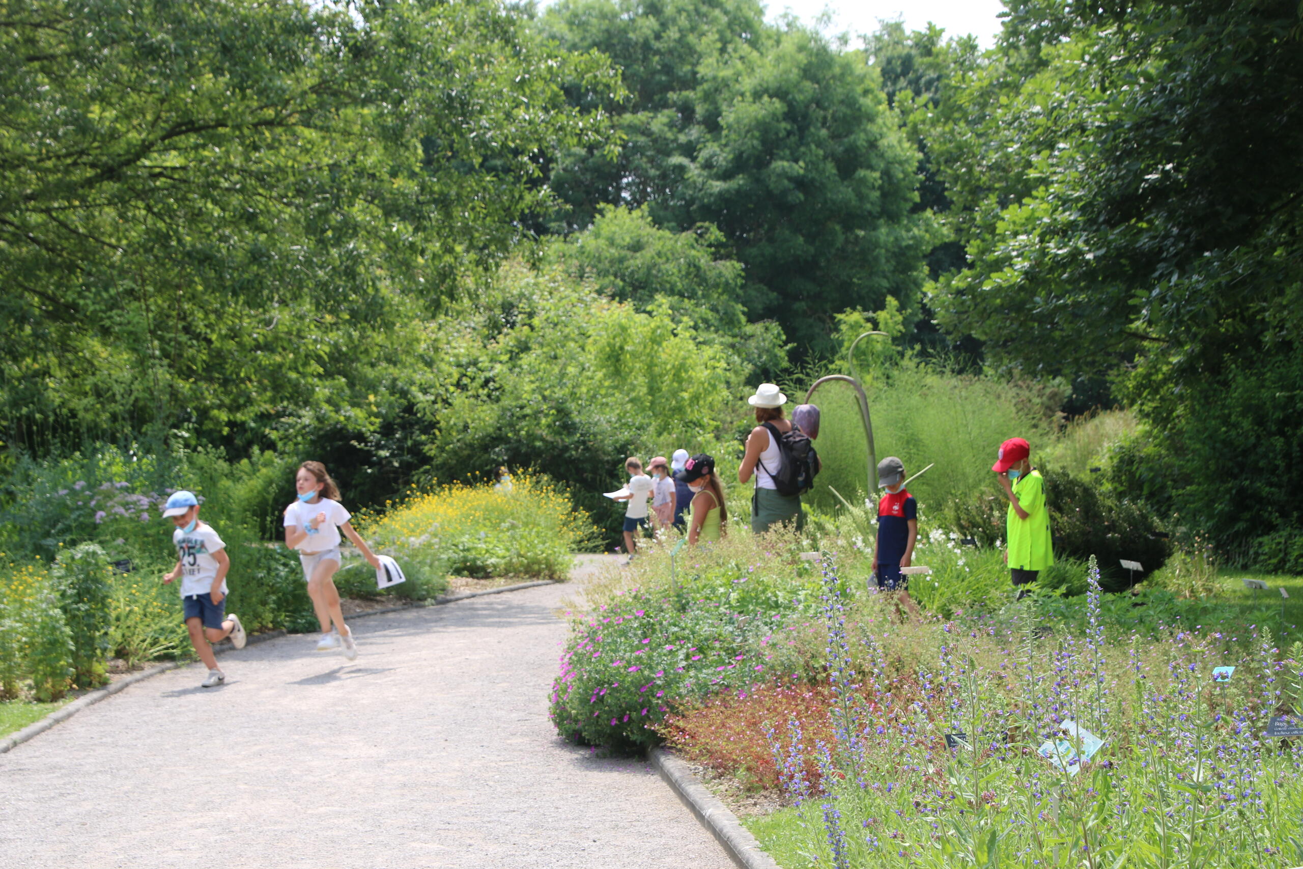 Classe Jardin des plantes sauvages Bailleul