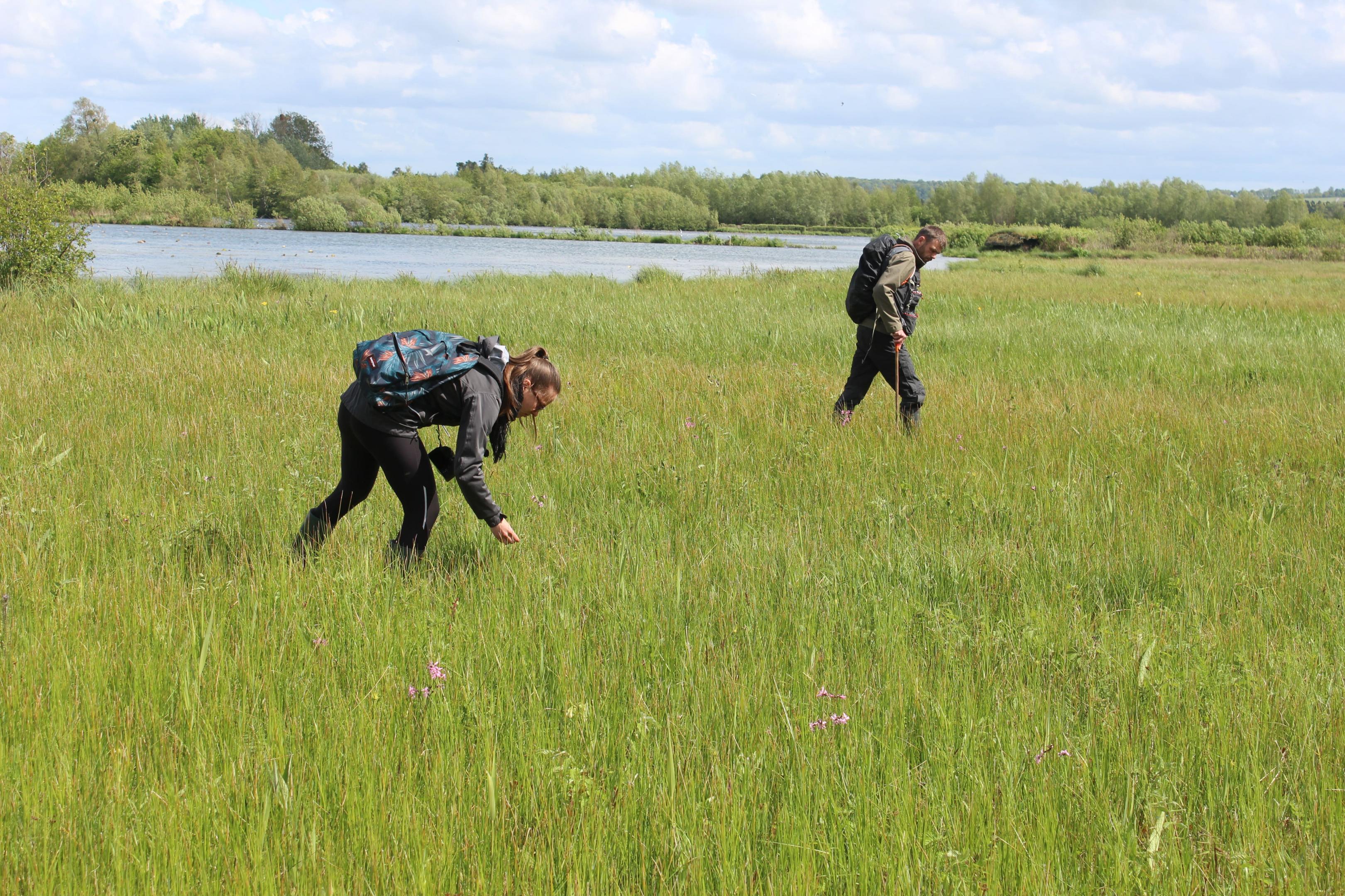 stage Louise Guérot