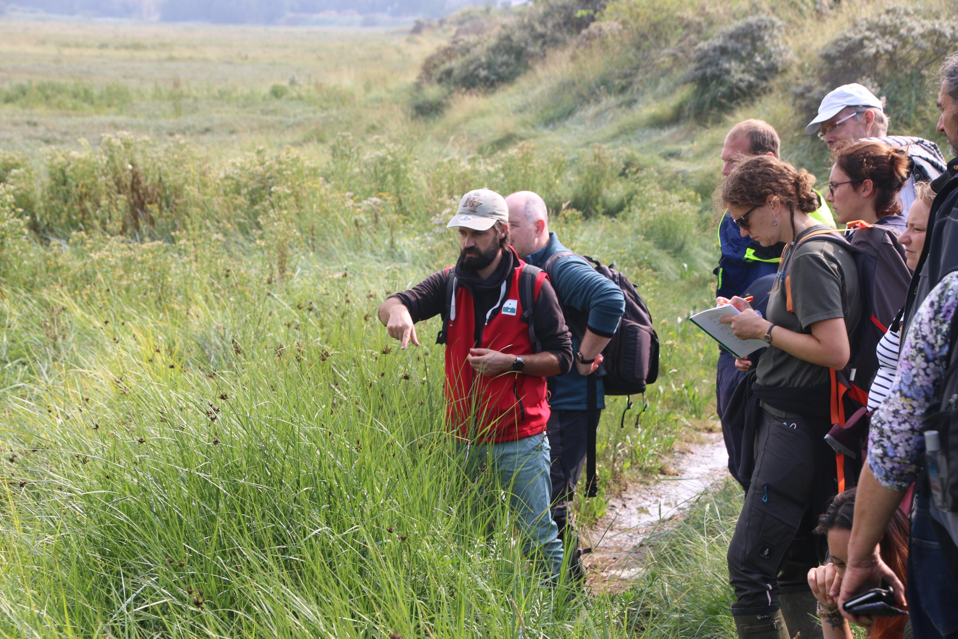formation VEGELITES Baie de Canche