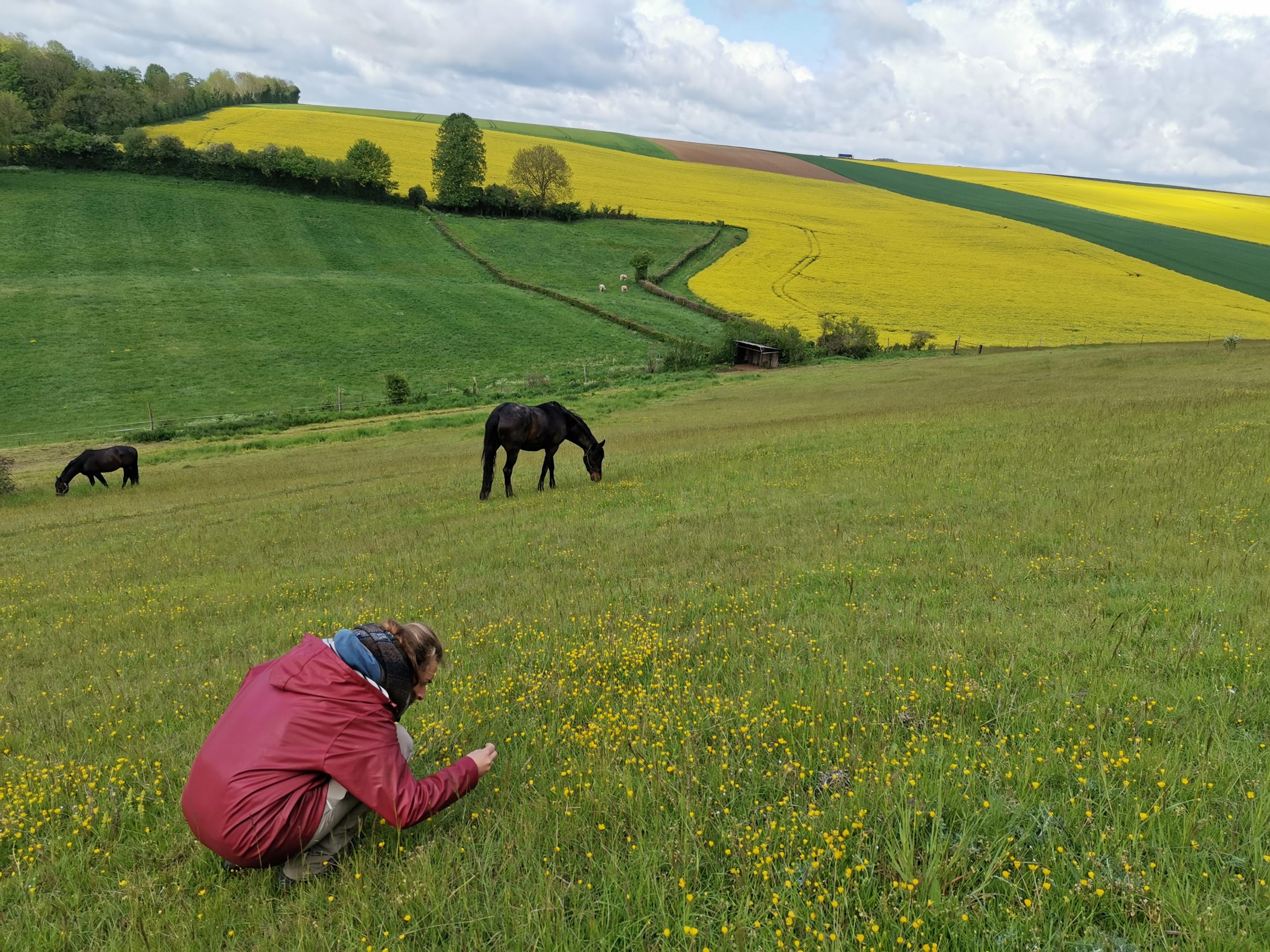 Emma Bertiaux stage CBNBL
