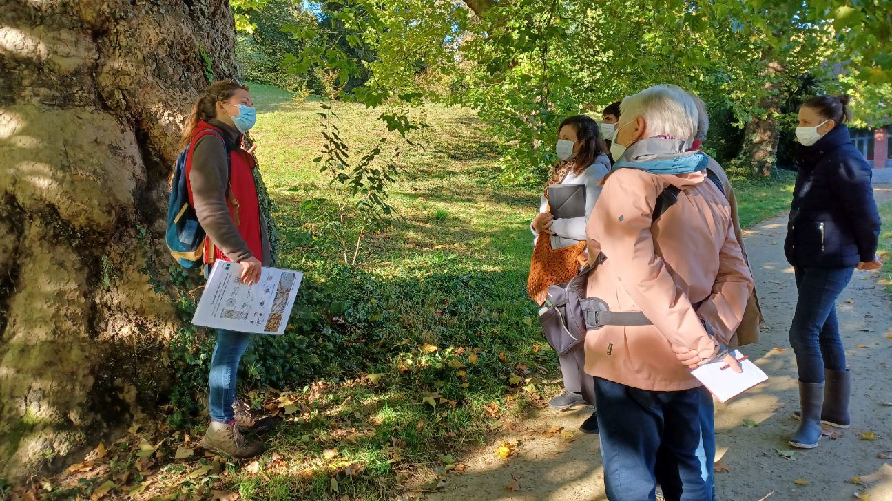 sortie lichens CBN Bailleul