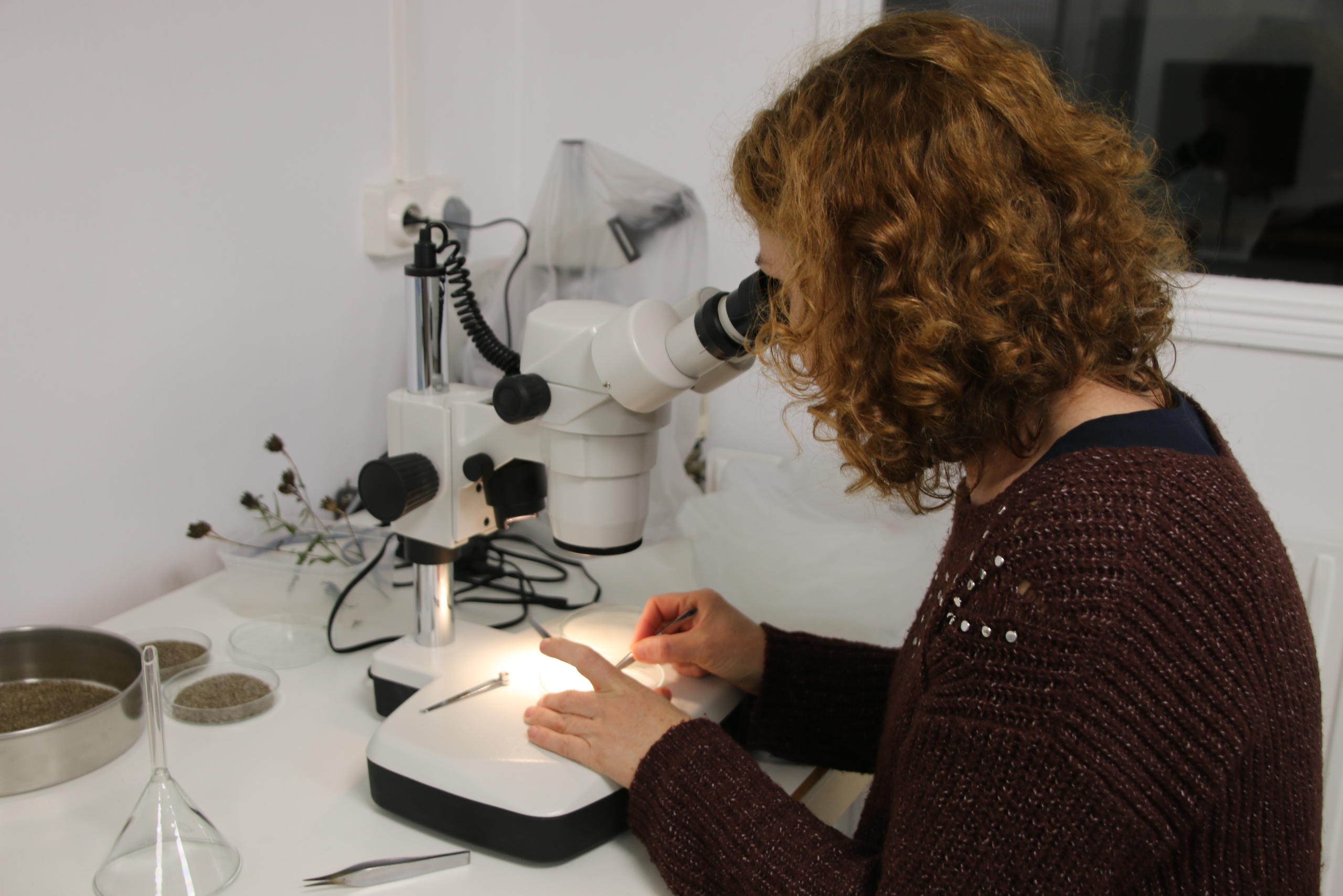 service civique CBNBL