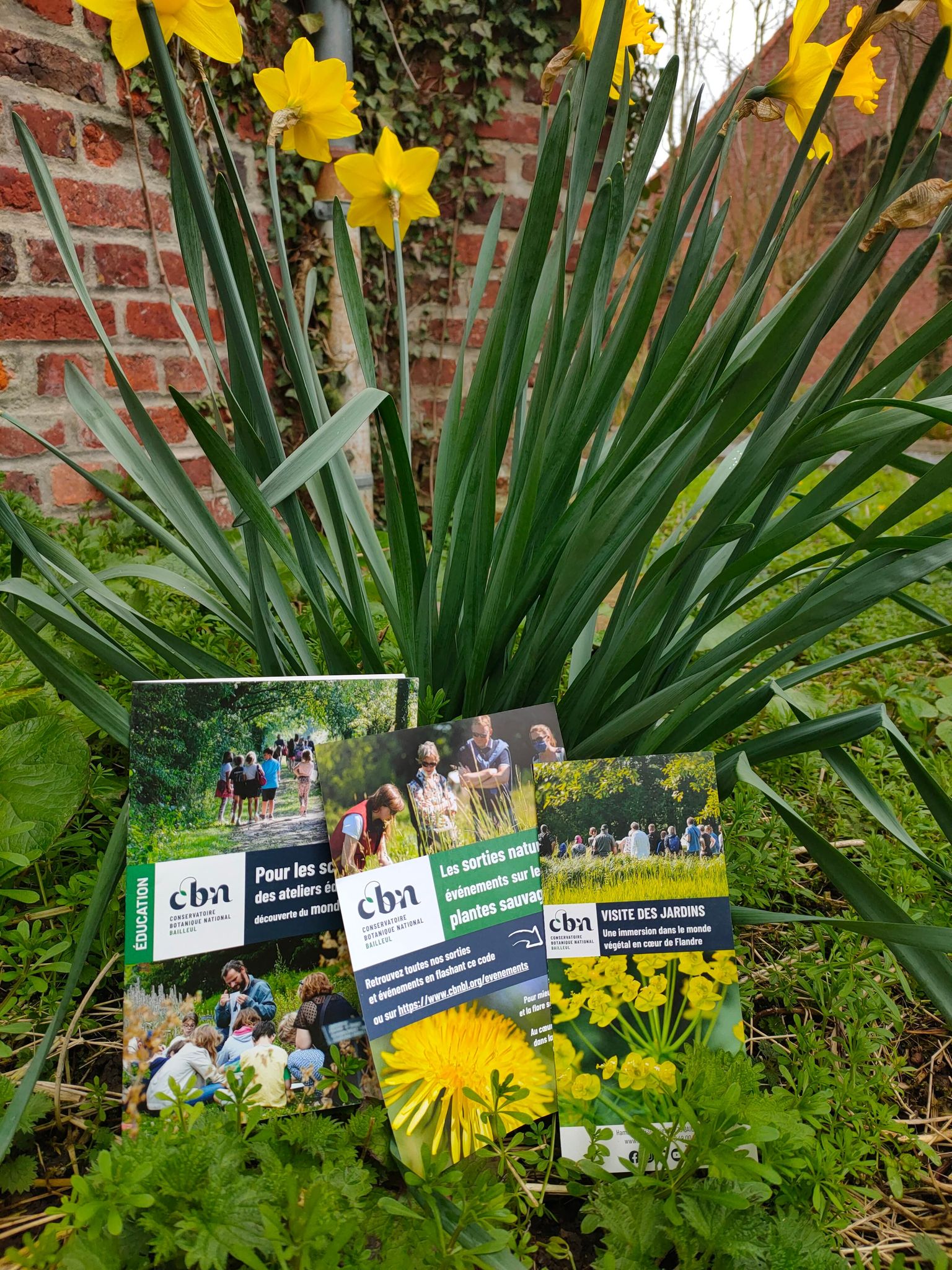 Des nouveaux documents à consulter