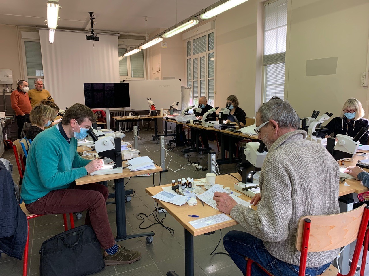 formation lichénologie