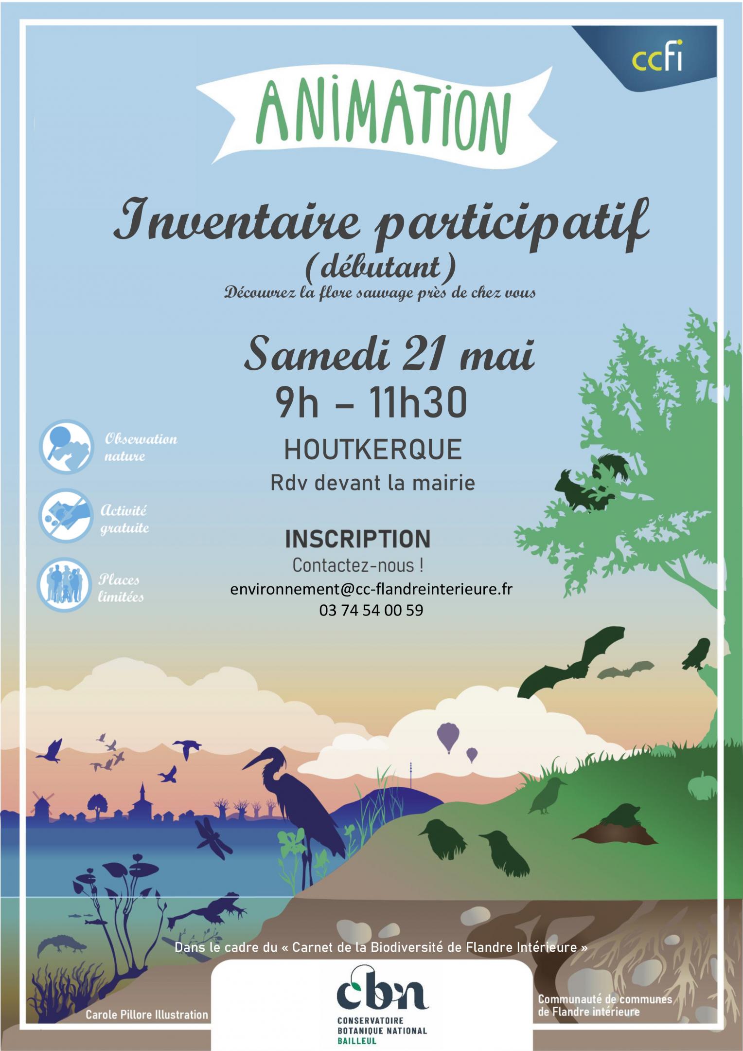 Inventaire participatif flore sauvage à Houtkerque (59)