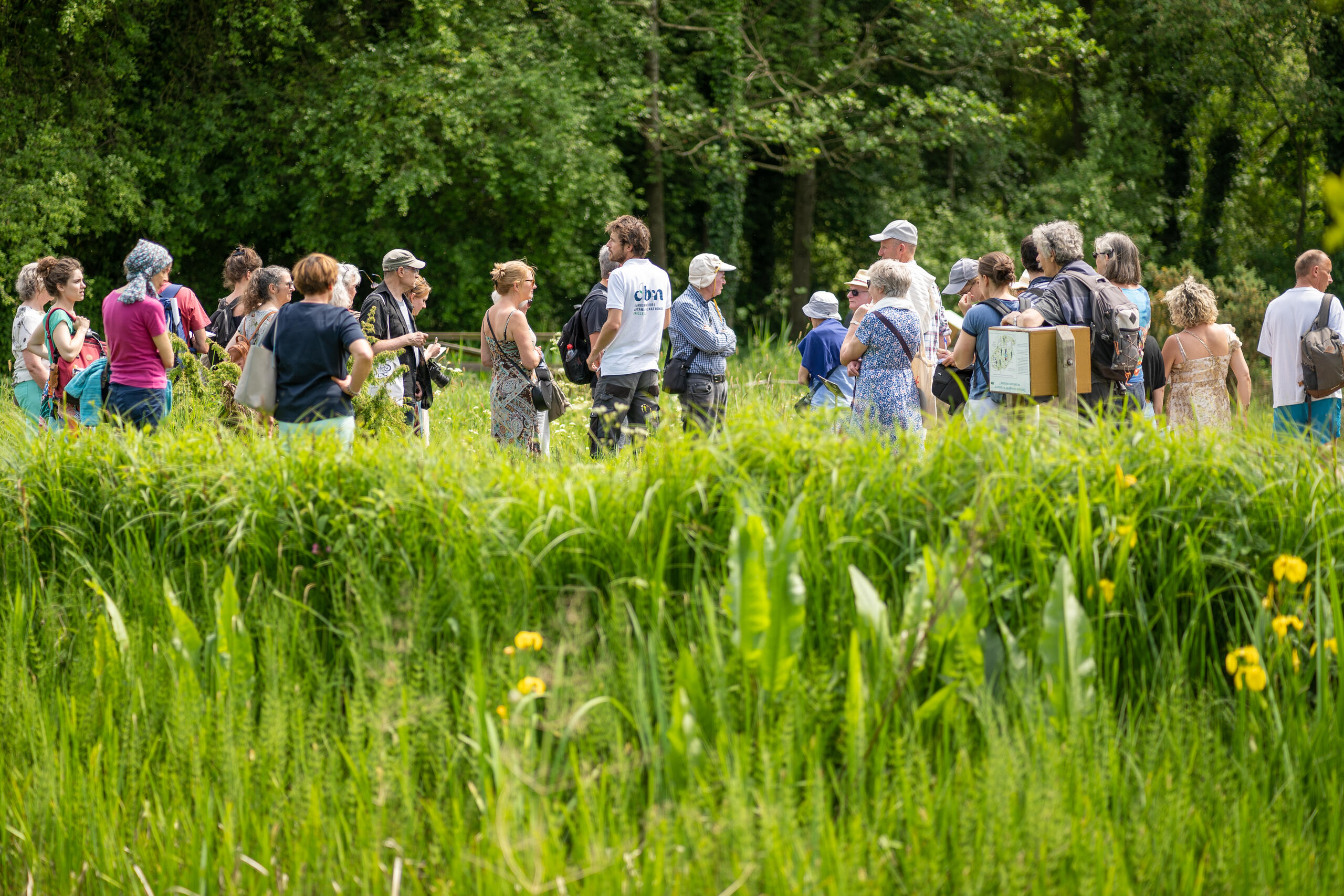 Sortie nature : "Les secrets du CBN de Bailleul"