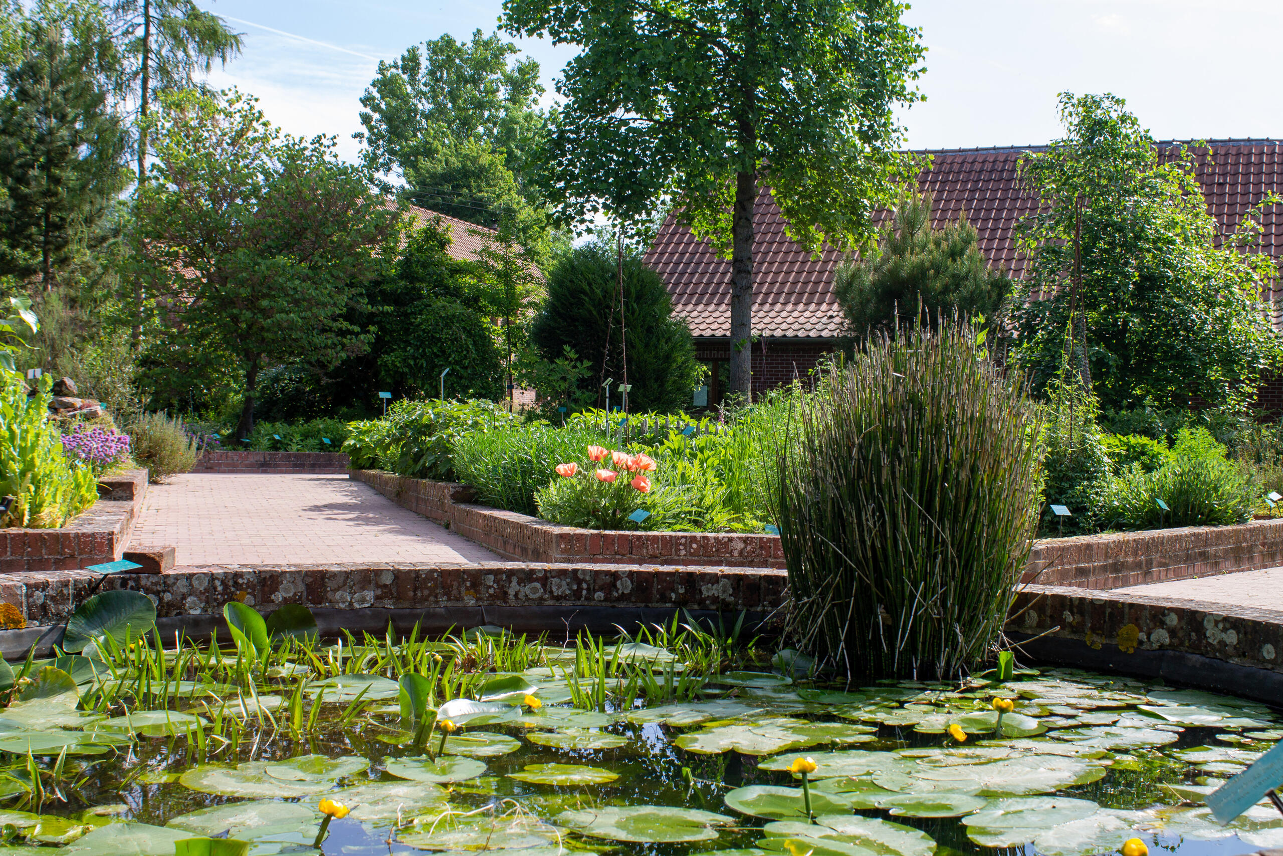 Fermeture 14 juillet (ouvert le 15)