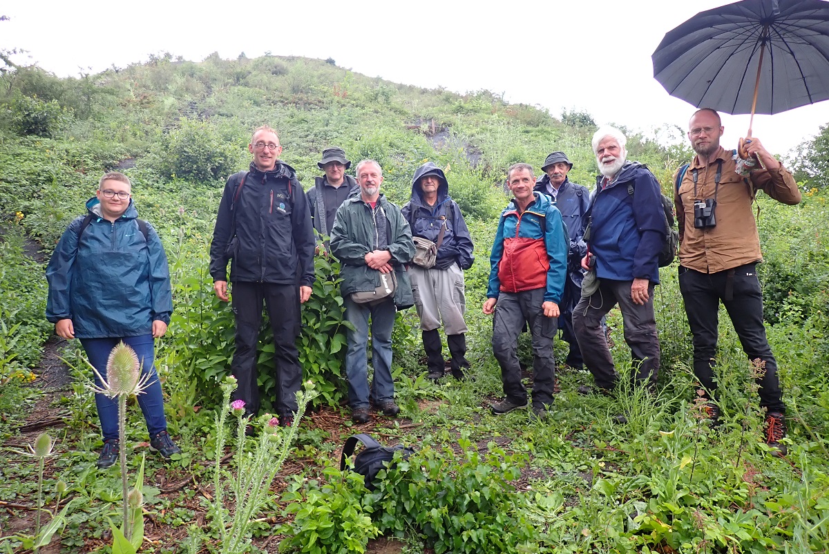 Focus sur les Molènes de Loos-en-Gohelle avec les collaborateurs bénévoles