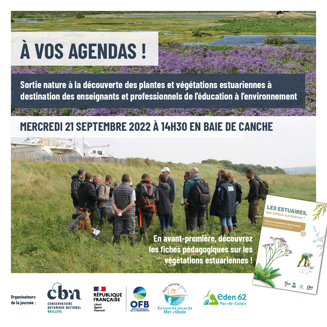 Une sortie pour mieux connaître les végétations des estuaires 