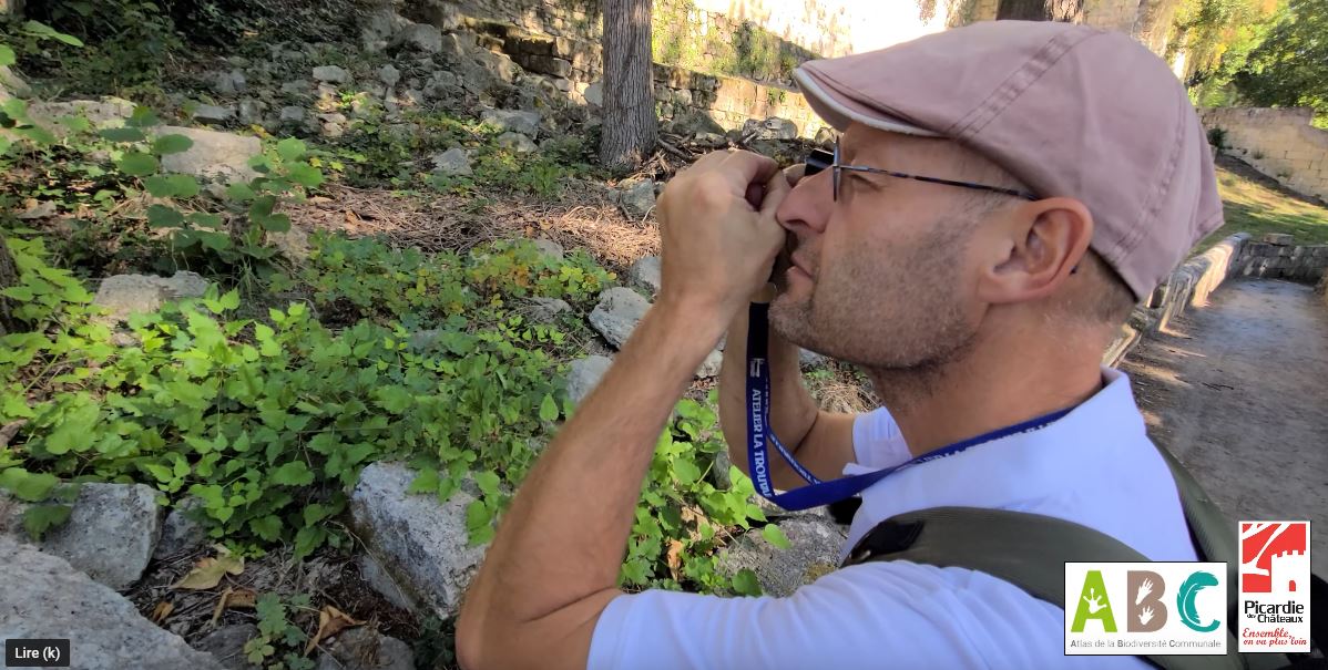 A la découverte des bryophytes de la communauté de communes Picardie des Châteaux
