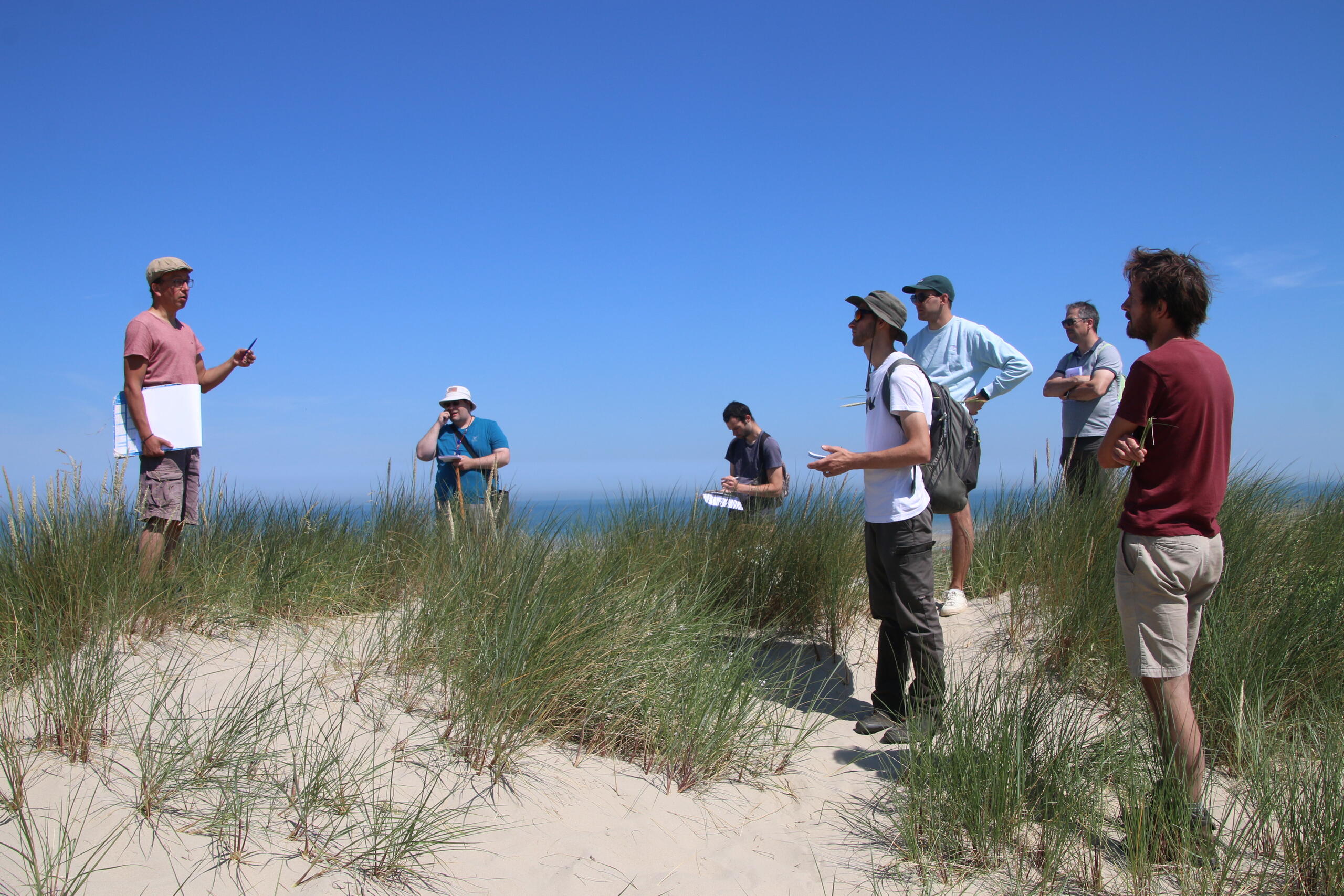 École de phytosociologie module 2 : les inscriptions sont ouvertes !