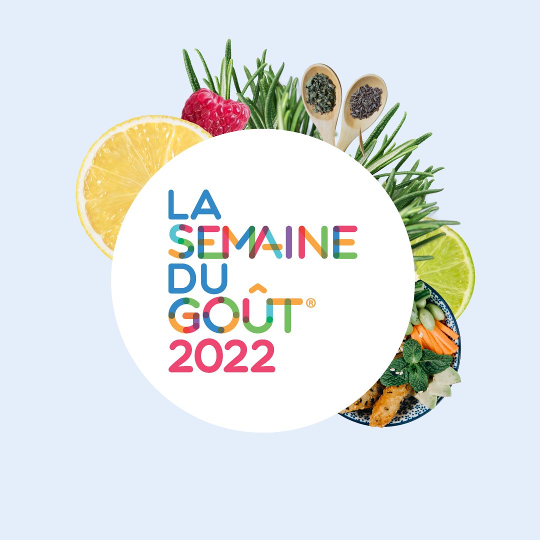 Balade à la découverte des plantes sauvages comestibles au Jardin des Plantes de Rouen