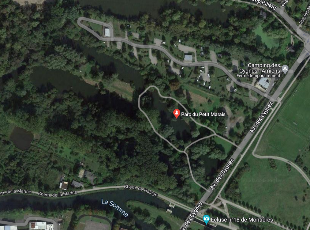 Sortie nature : "À la découverte des plantes sauvages du Parc du Petit Marais à Amiens" (Somme)