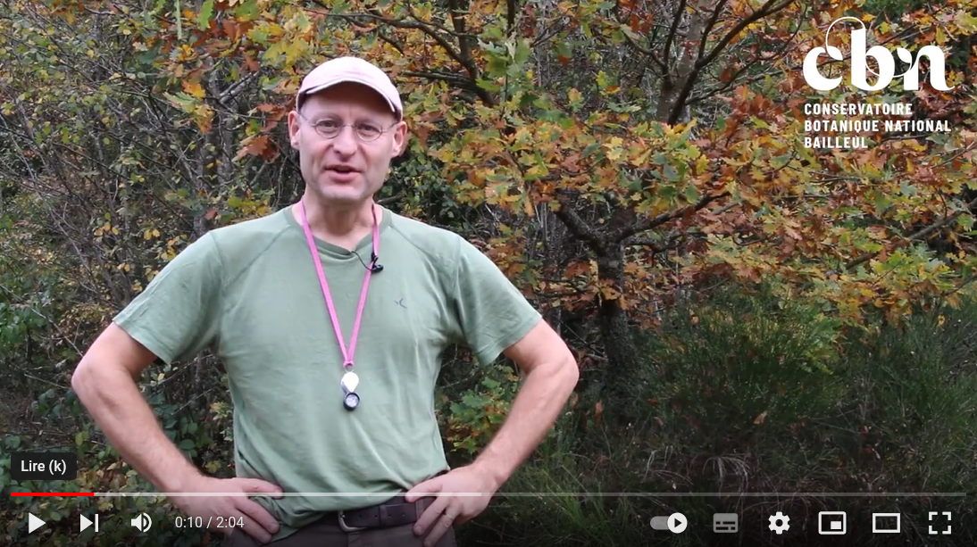 Vidéo : translocation de la Scorpidie verdâtre, de la Lorraine belge à l'Aisne