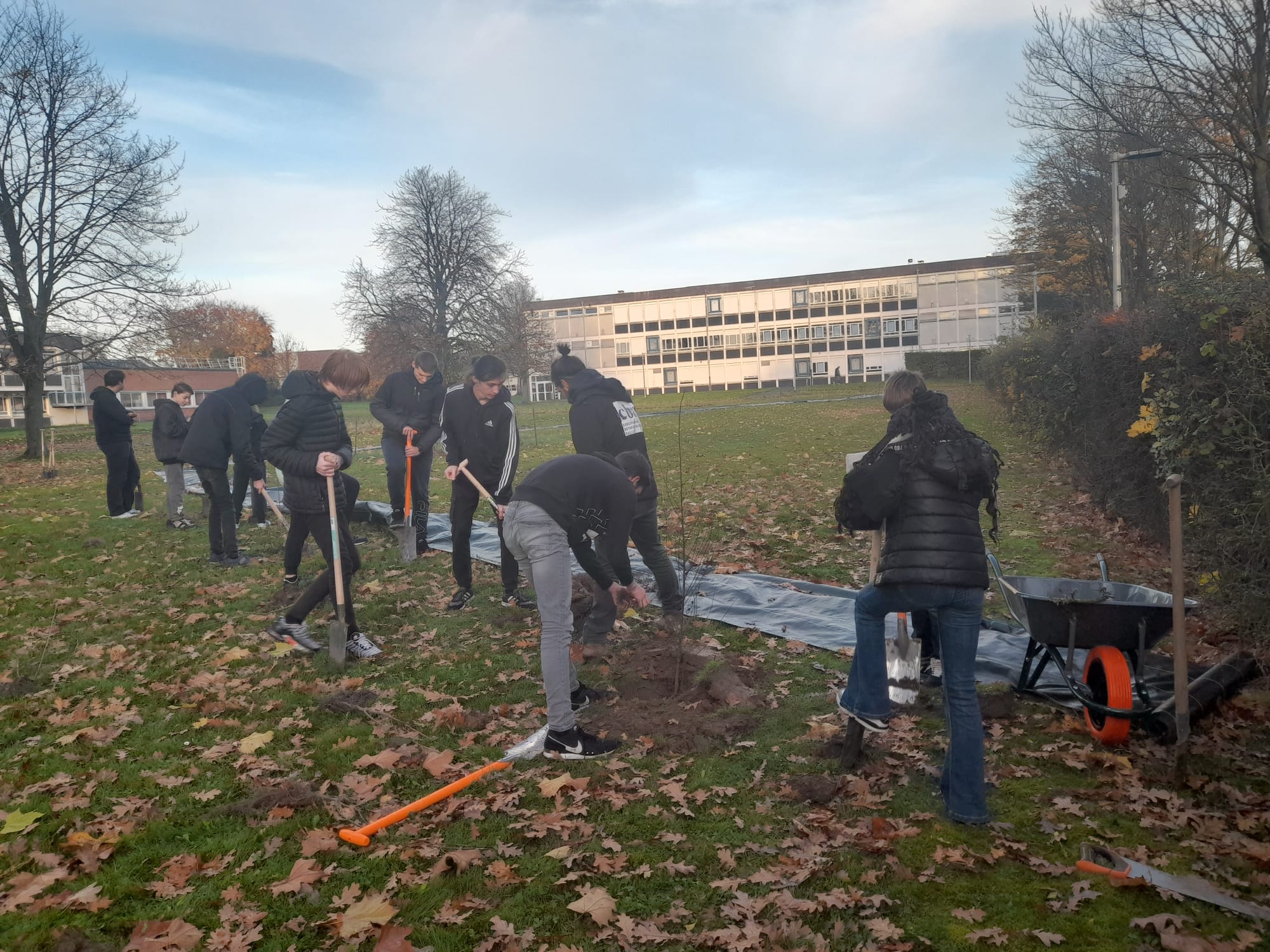 Une semaine de plantation avec les jeunes de la Cité scolaire des Flandres !