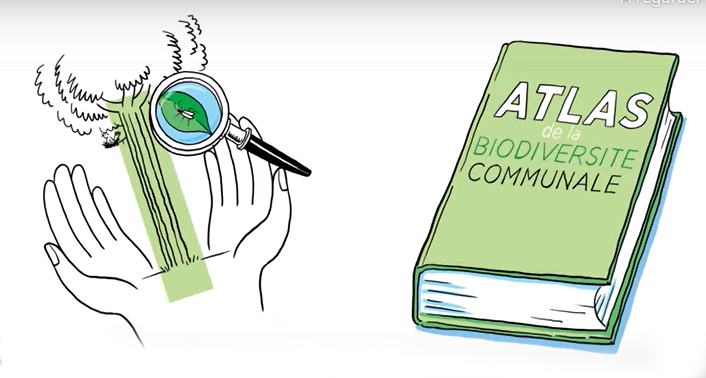 Mardinale à Géodomia "ABC, découvrons ensemble la biodiversité communale"