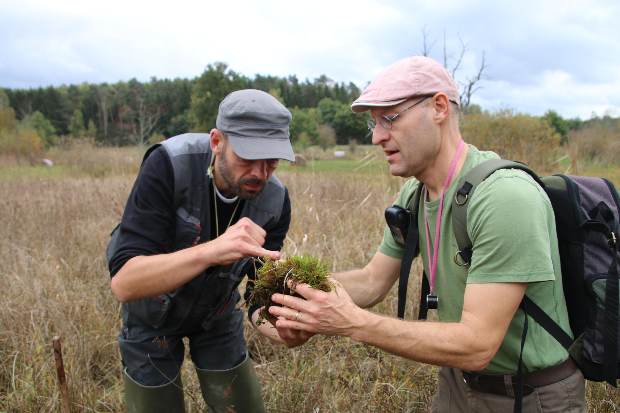 Inscrivez-vous à la sortie du collectif des bryologues du nord de la France