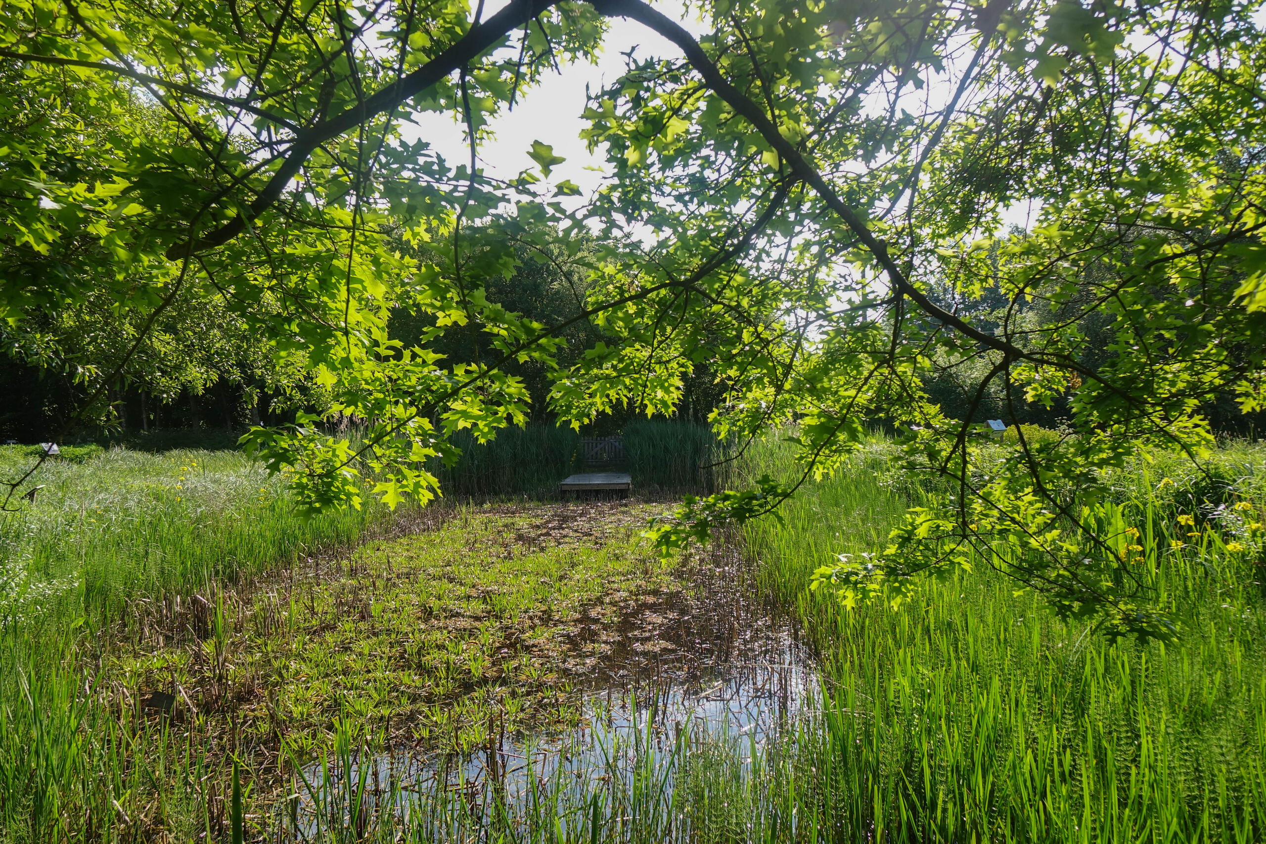 Sortie nature : "Le trésor du CBN de Bailleul"