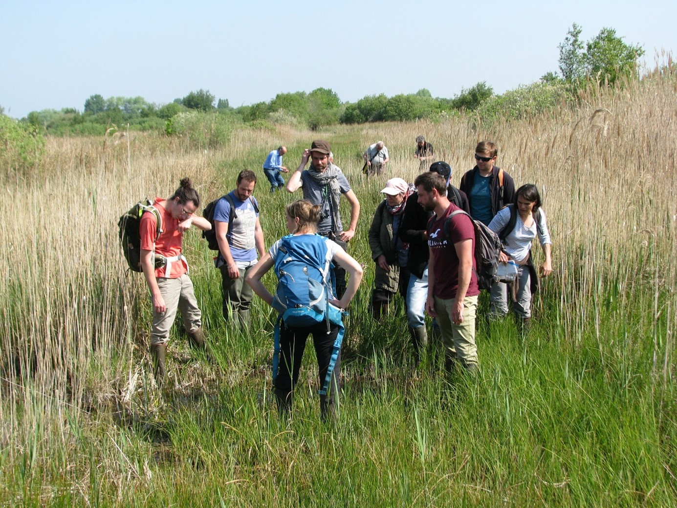 Réunion du [Collectif Chara] du CBN de Bailleul dans le Nord