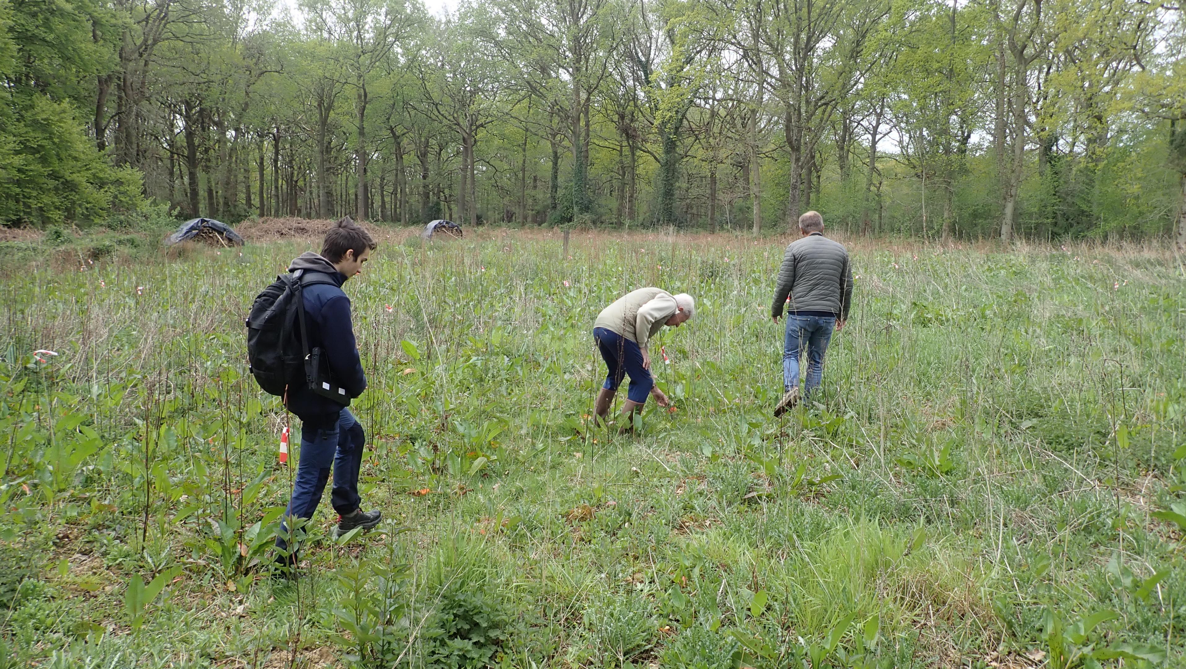 Florent Massa, le retour en CDD à l'antenne Normandie !