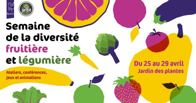 Balade "Plantes sauvages comestibles" au Jardin des plantes de Rouen