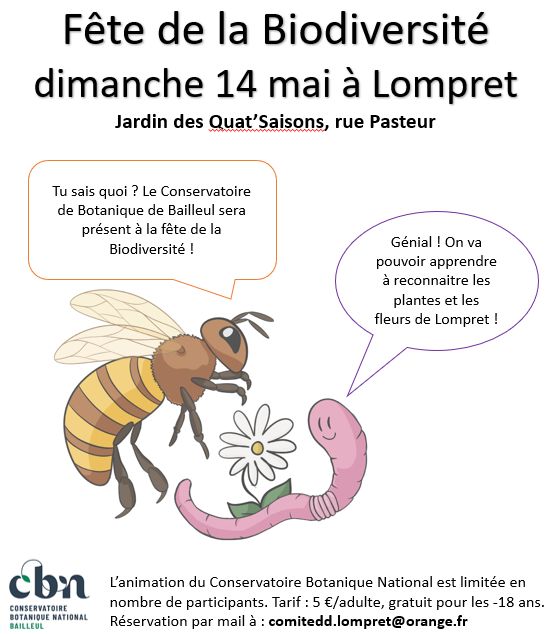 Sortie "découverte de la flore sauvage" à la Fête de la biodiversité (Lompret, Nord)