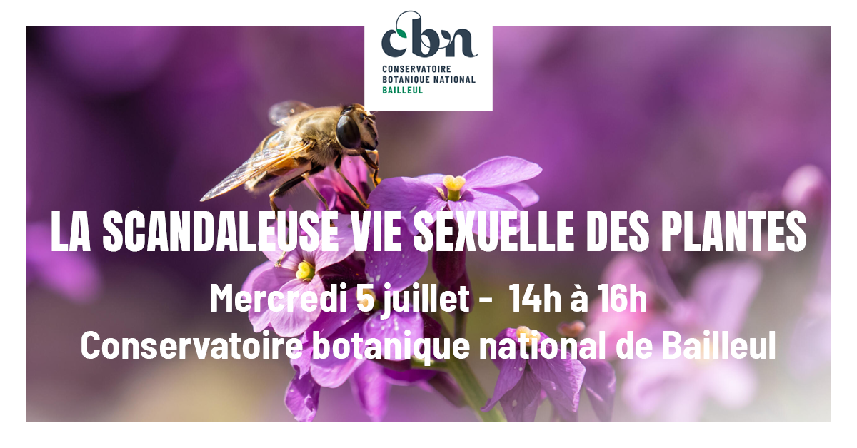 Sortie nature "La scandaleuse vie sexuelle des plantes" (Bailleul, Nord)